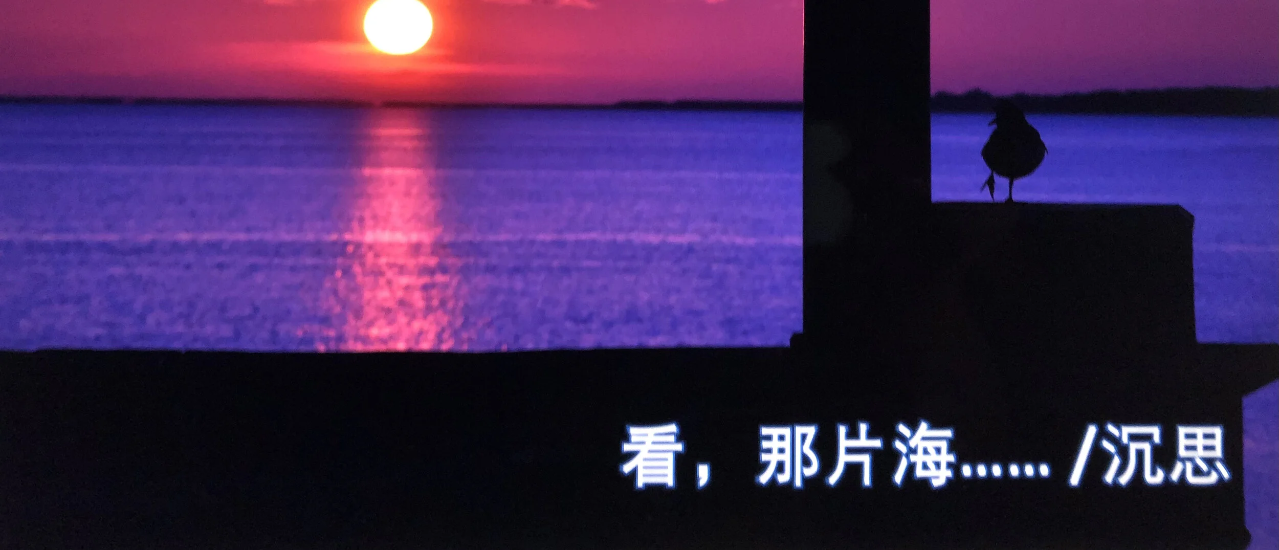 散文《看,那片海》