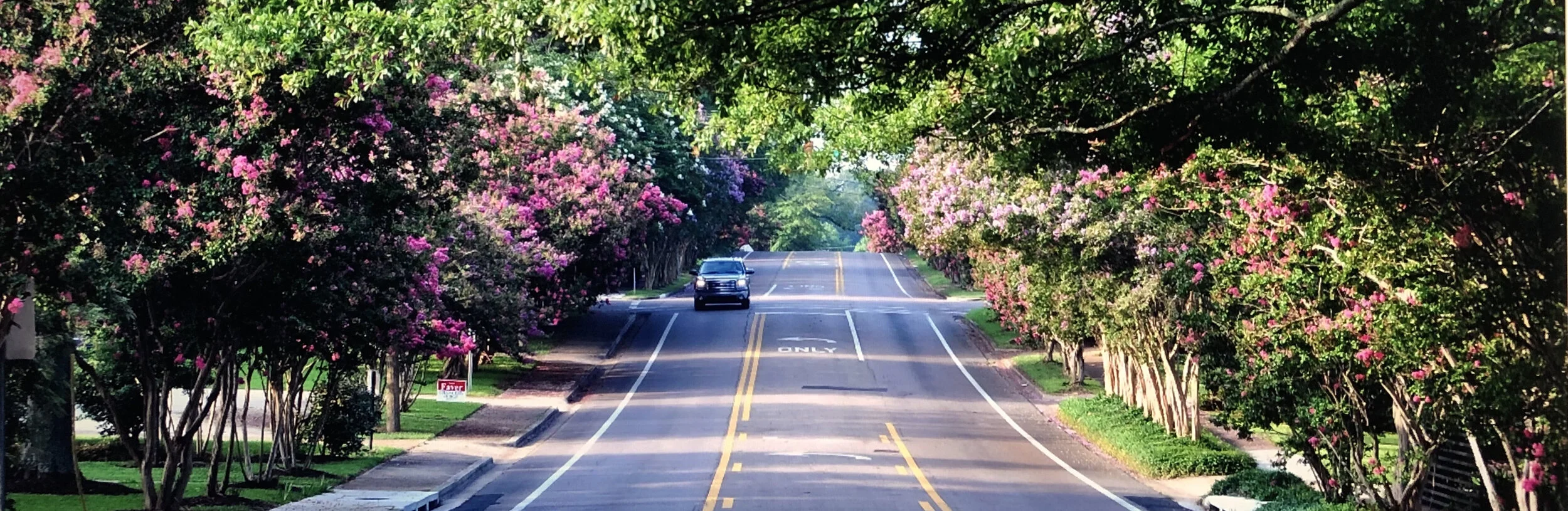 散文《一路繁花》
