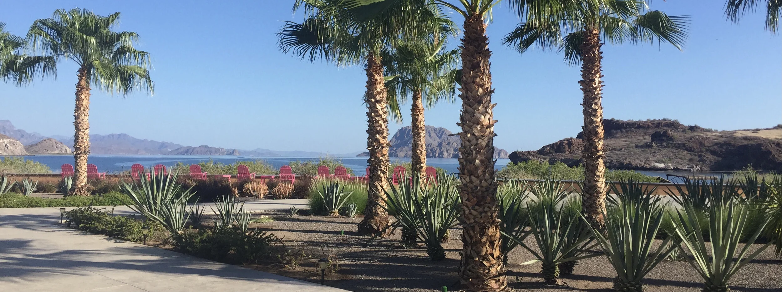 不断完善  协调发展——记美国中文作家协会第三届理事会第四次会议