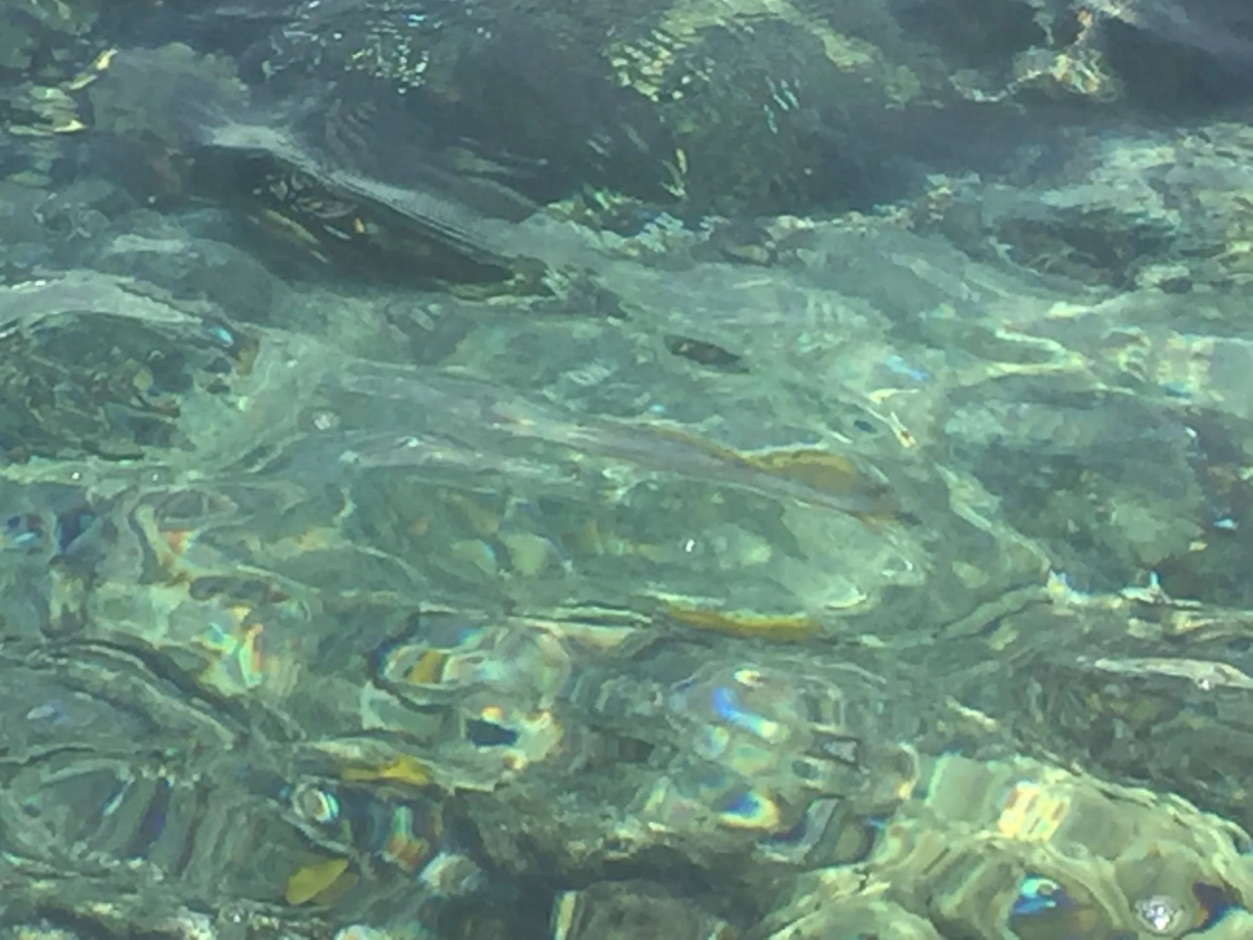 美中作协2022年小说论坛：短篇小说之我见 