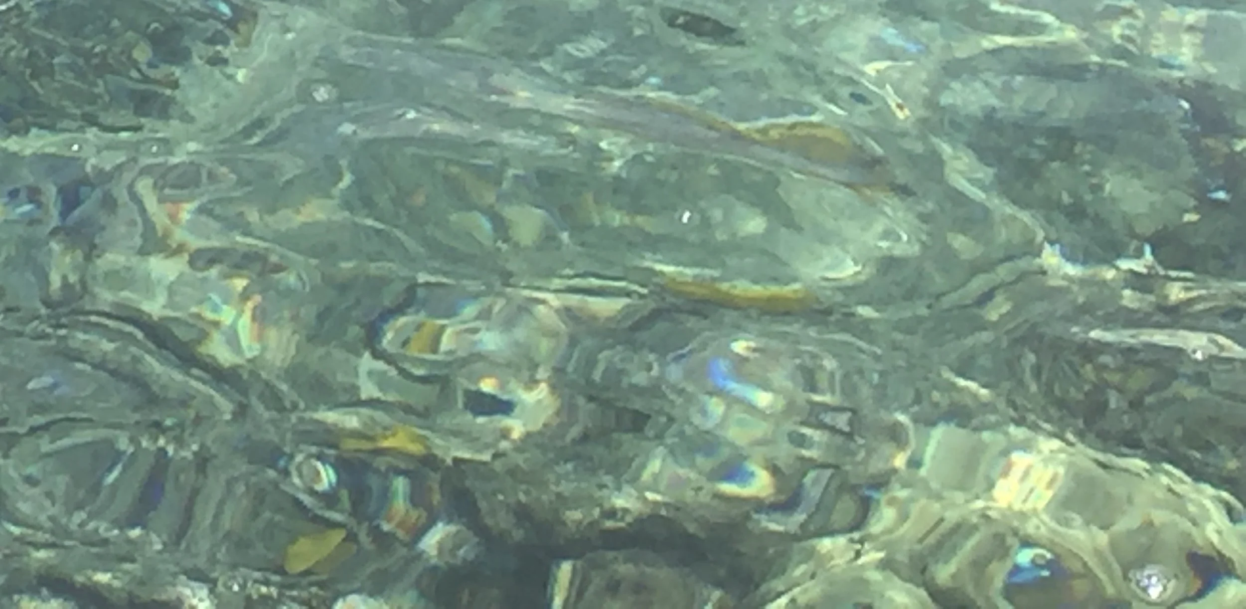 美国中文作家协会2022年诗歌论坛侧记 