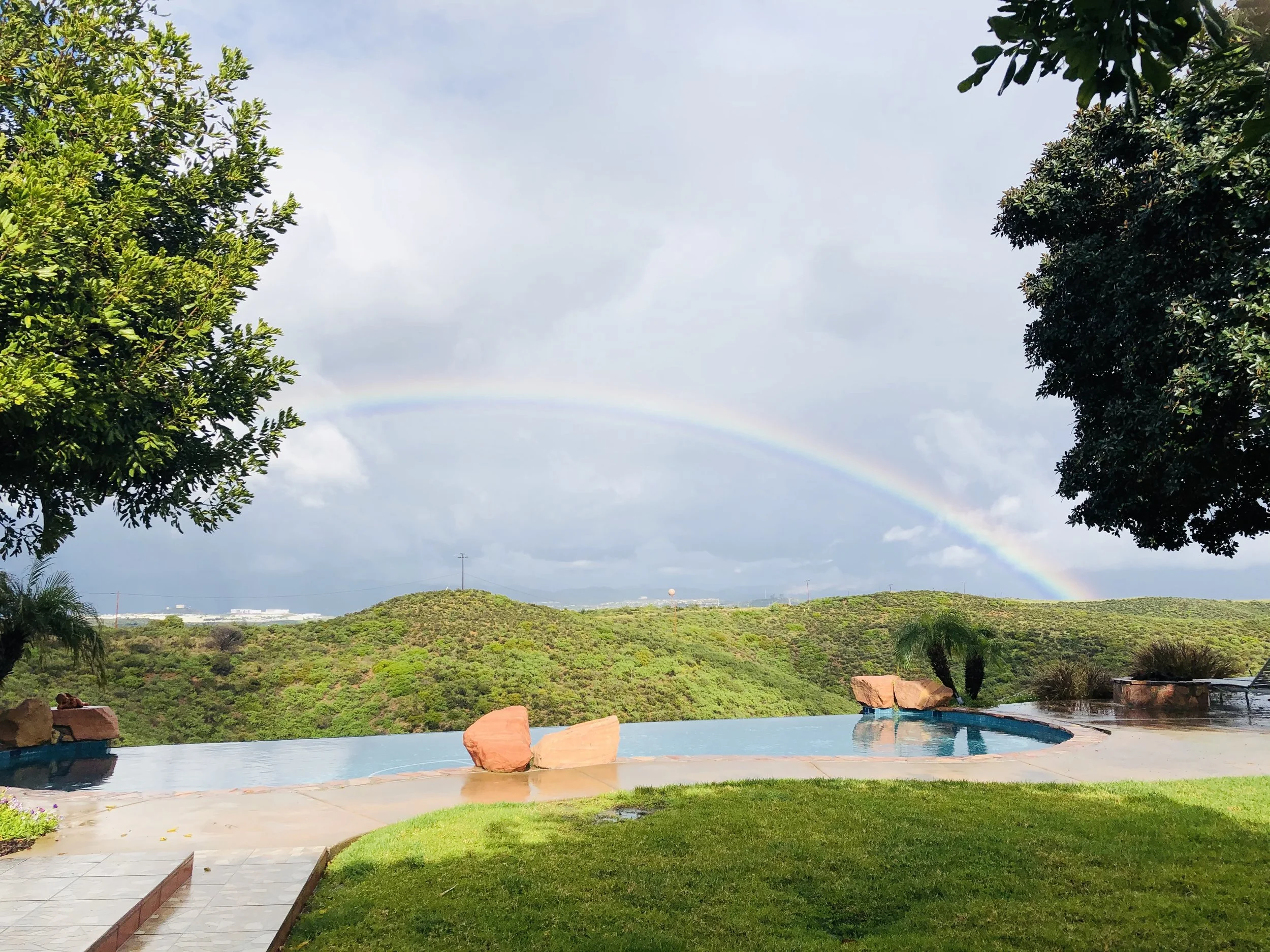 踔厉奋发,笃行不怠 --美国中文作家协会第三届理事会第八次会议简讯