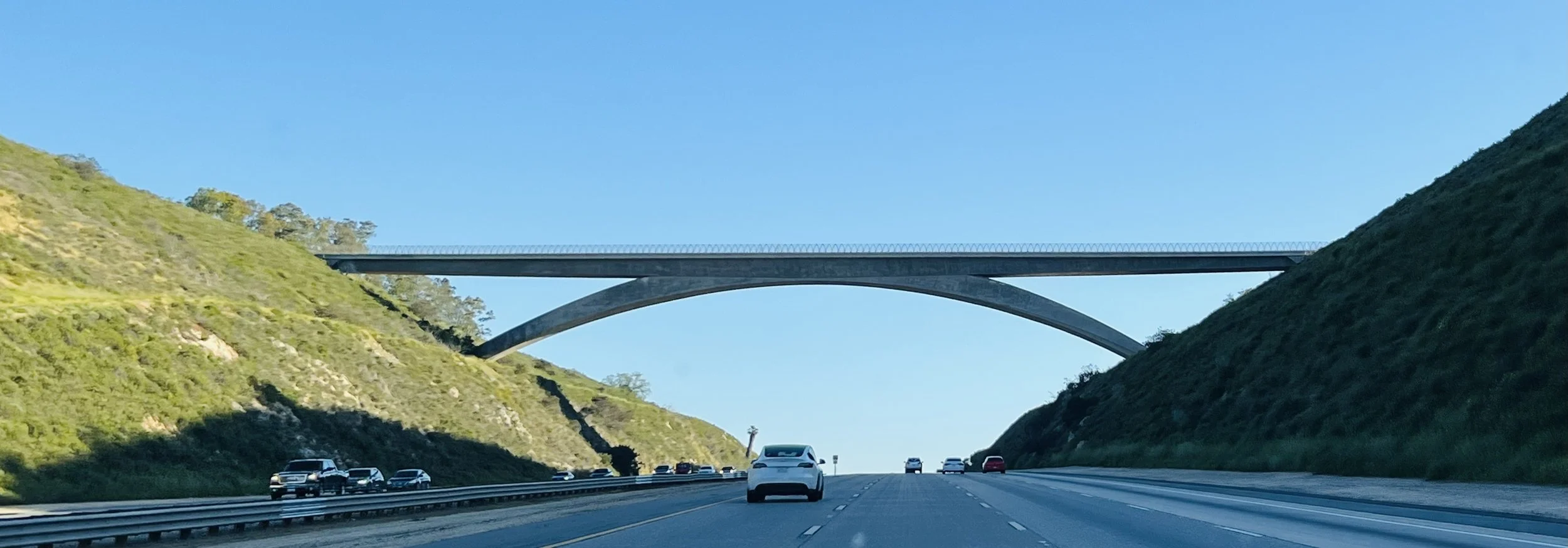 《飘在美国》(上篇)第十章 移民情结(3)