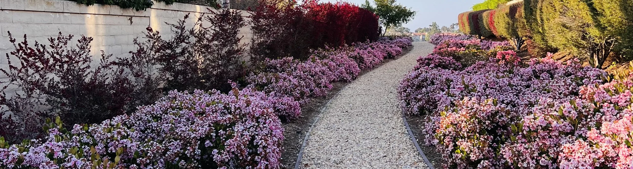 再接再厉  善作善成——美国中文作协第三届理事会第十次会议简讯