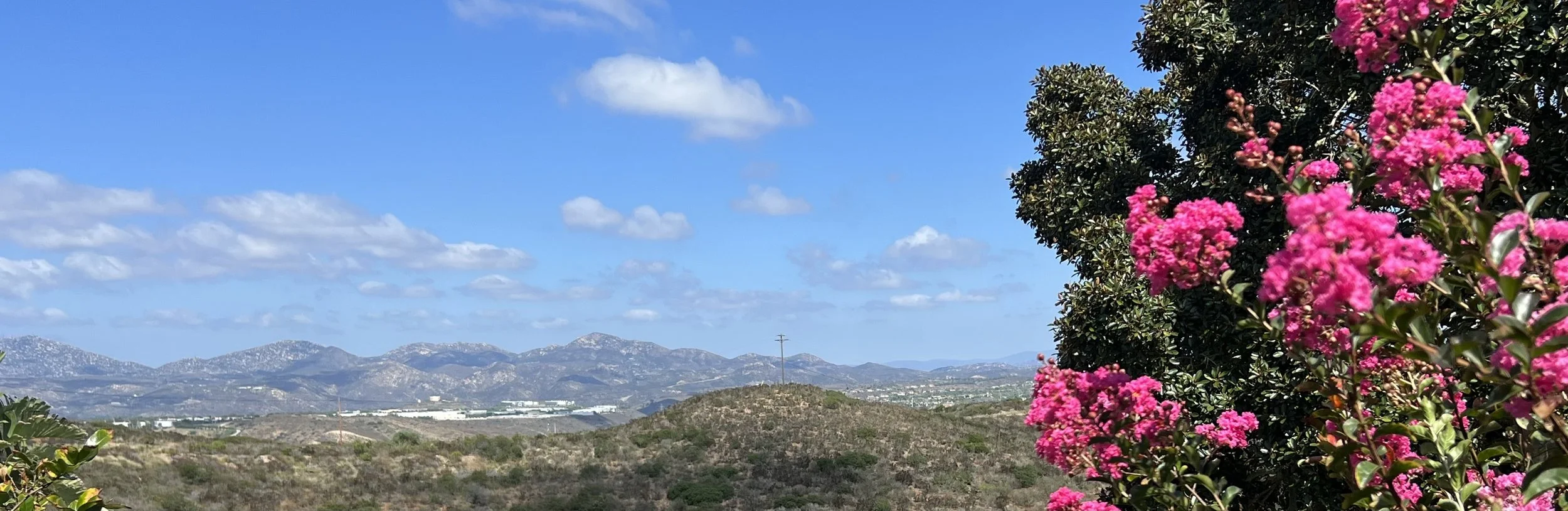 欲穷千里目  更上一层楼 ——美国中文作协第三届理事会第十一次会议简讯