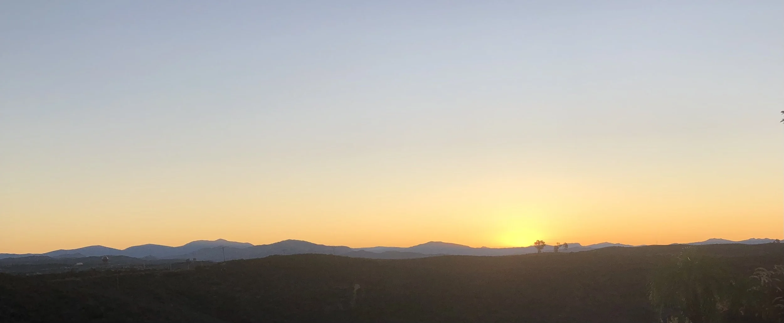 美中作协第四届理事会竞选工作圆满完成