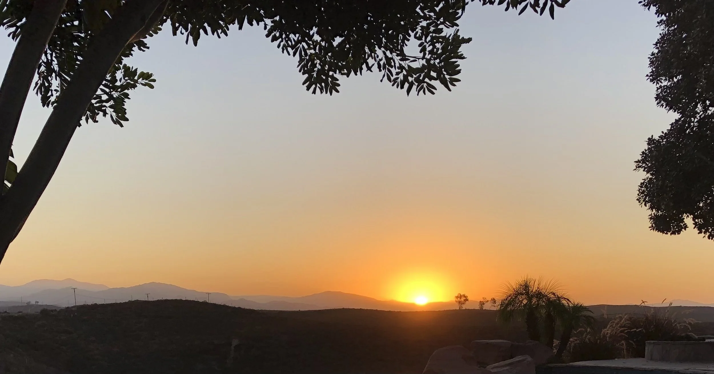 今冬采撷阳春暖,再筑梦想迎新春