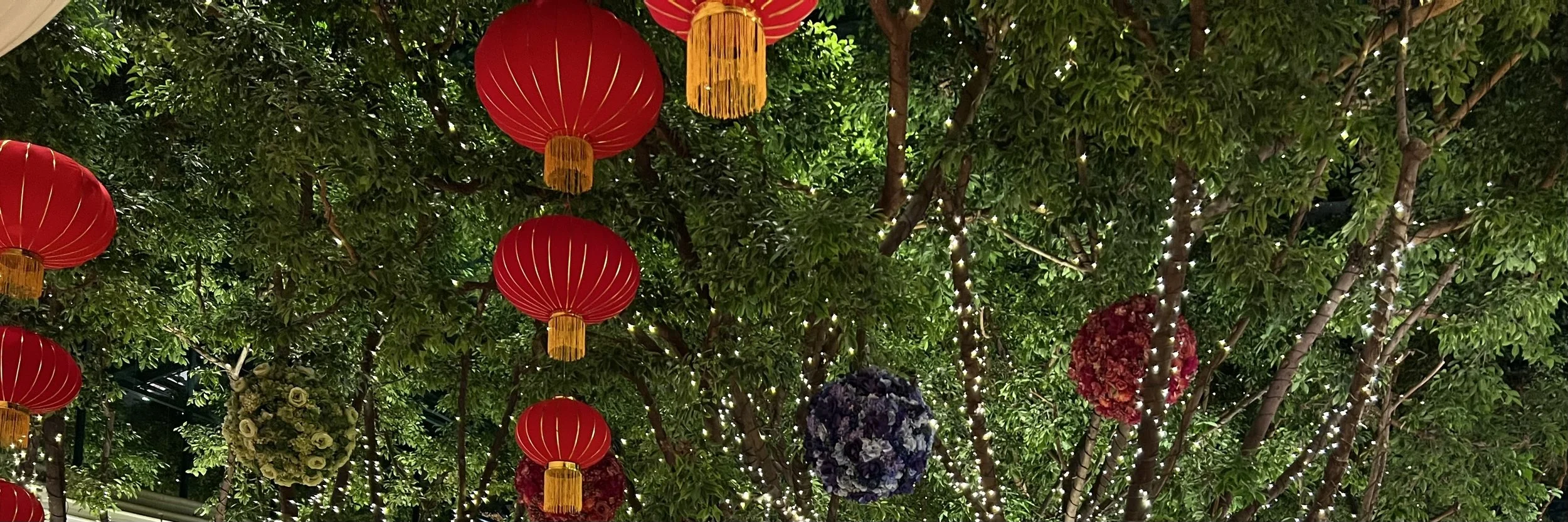 龙年春雷激荡，作协艺委筹谋——美国中文作家协会2024年艺委会第一次会议纪要