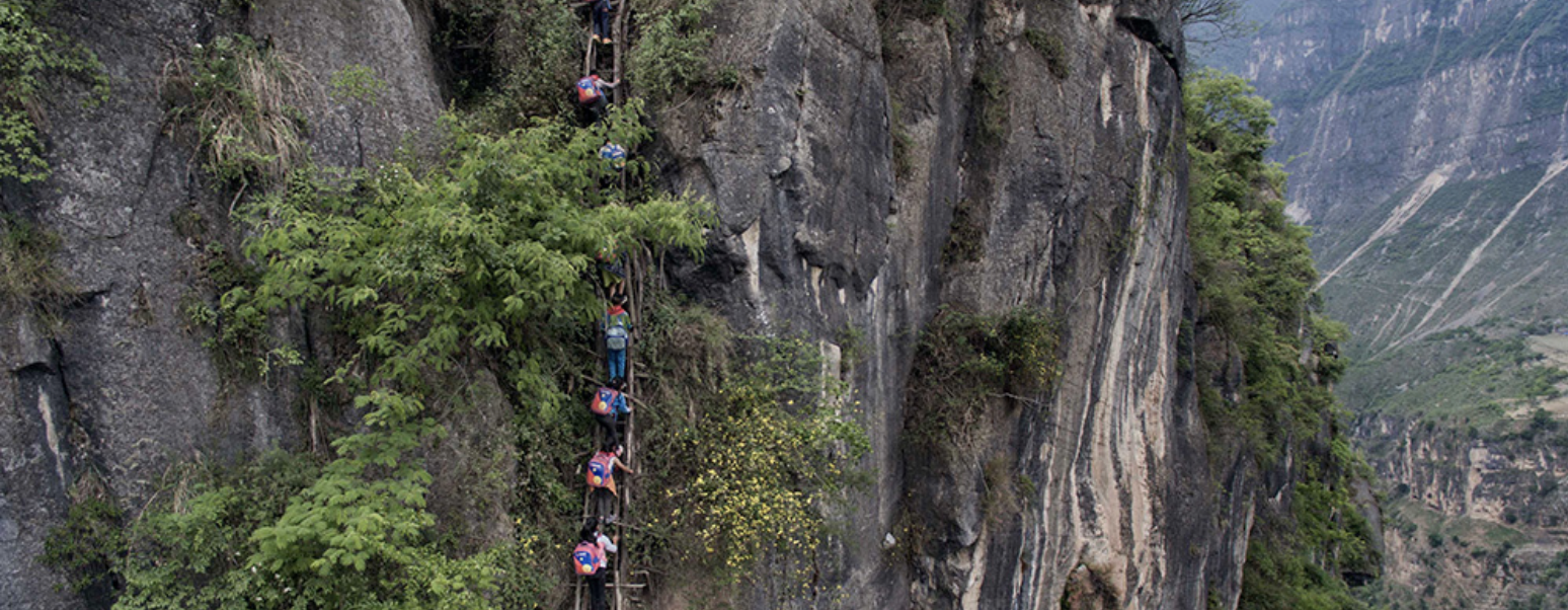 报告文学:星愿慈航  大爱无疆——全美华人文教基金会(ACCEF)二十周年集萃