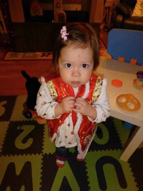 随笔 《三宝过年》&nbsp;&nbsp;&nbsp;