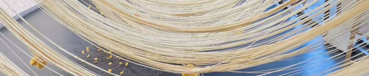 凝聚共识,稳步前行 ——美国中文作家协会第四届理事会第九次会议简讯