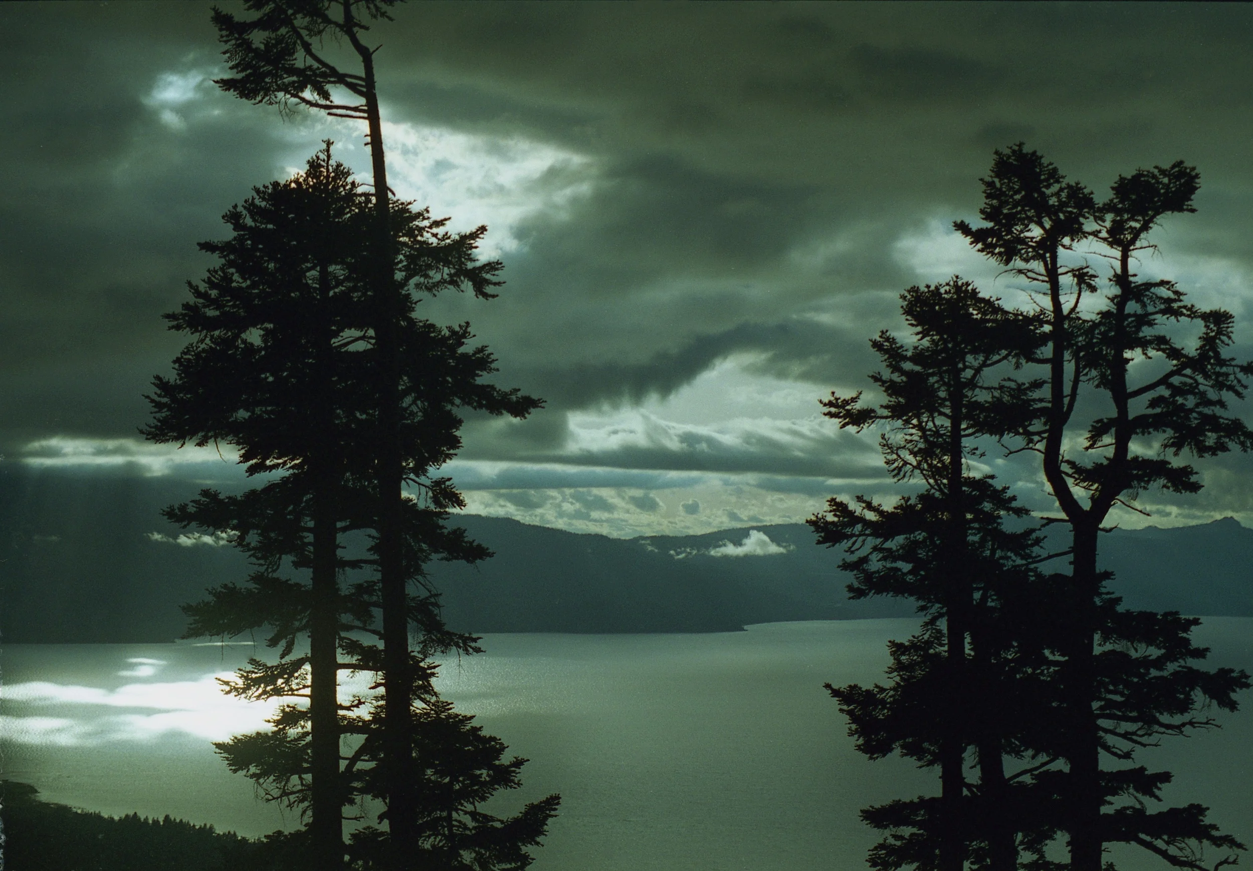 afterthestorm.jpg