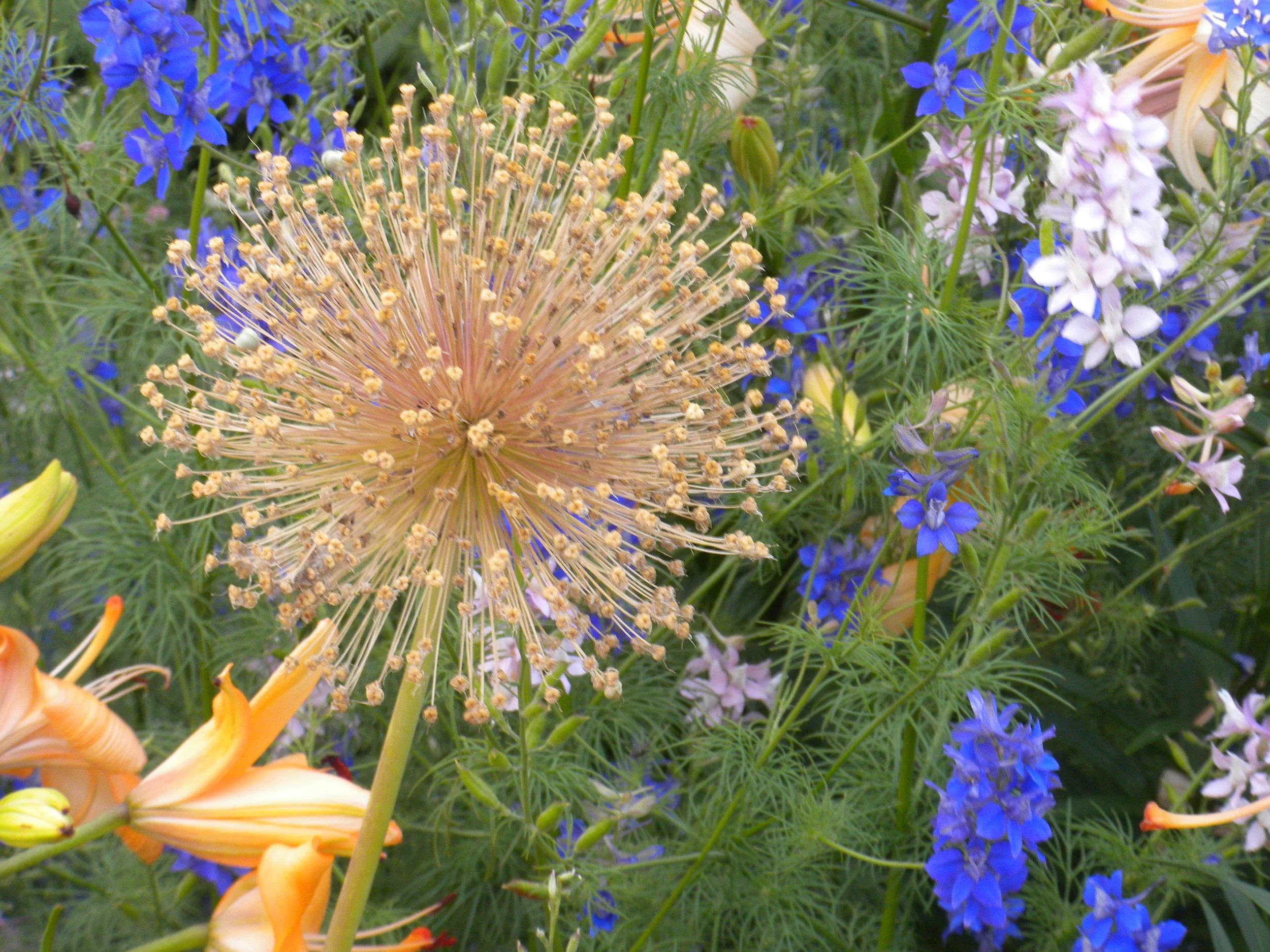 DSCN0878.JPG