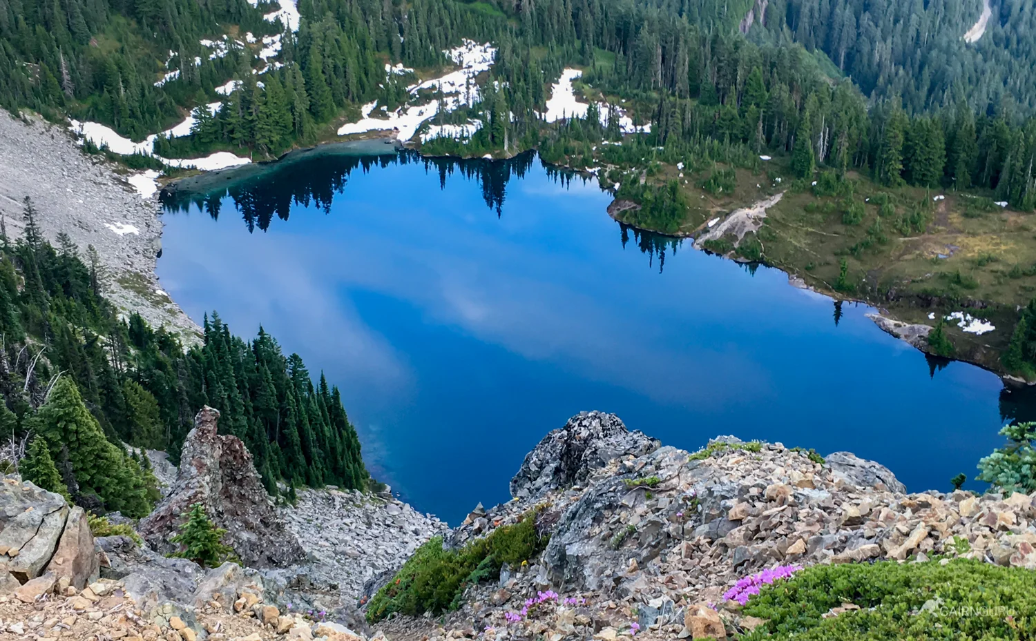 Wildflowers along the hillside above Eunice Lake just before the lookout tower were in full bloom.