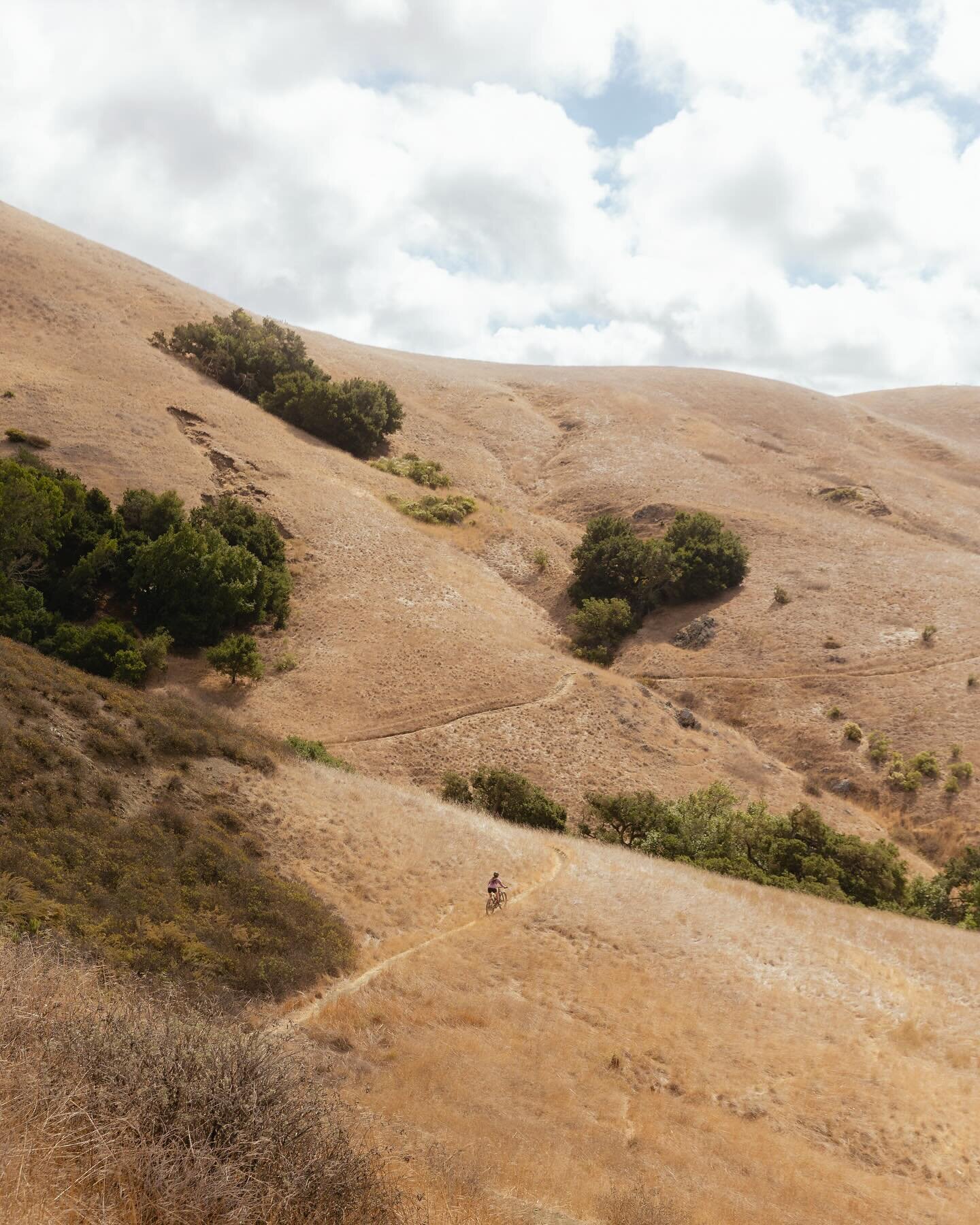 Open hills in SLO 

How far away you feel from everything while only being 5 miles from the house is probably one of my favorite things about riding in SLO. Open hills and open trails 

#visitslo #slocal #mtb #photopace