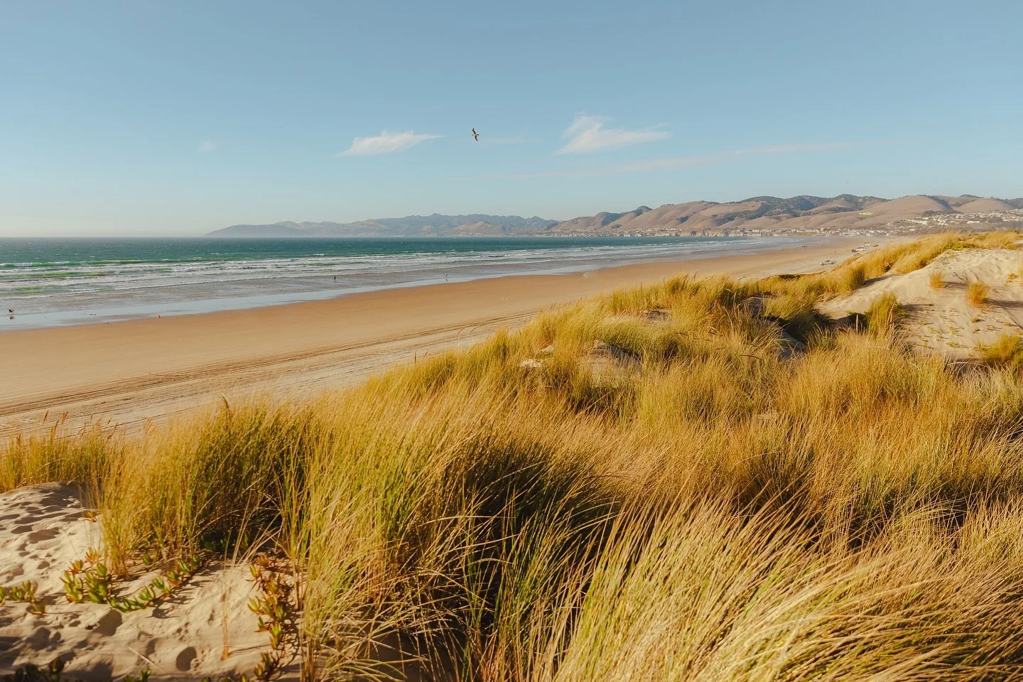 Thankful for another beautiful weekend at home on the central coast 

Still from the dunes in Pismo from a while back. To me, captures the essence of the central coast in one photo. The beach, the hills, the colors all together. Loving calling SLO ho