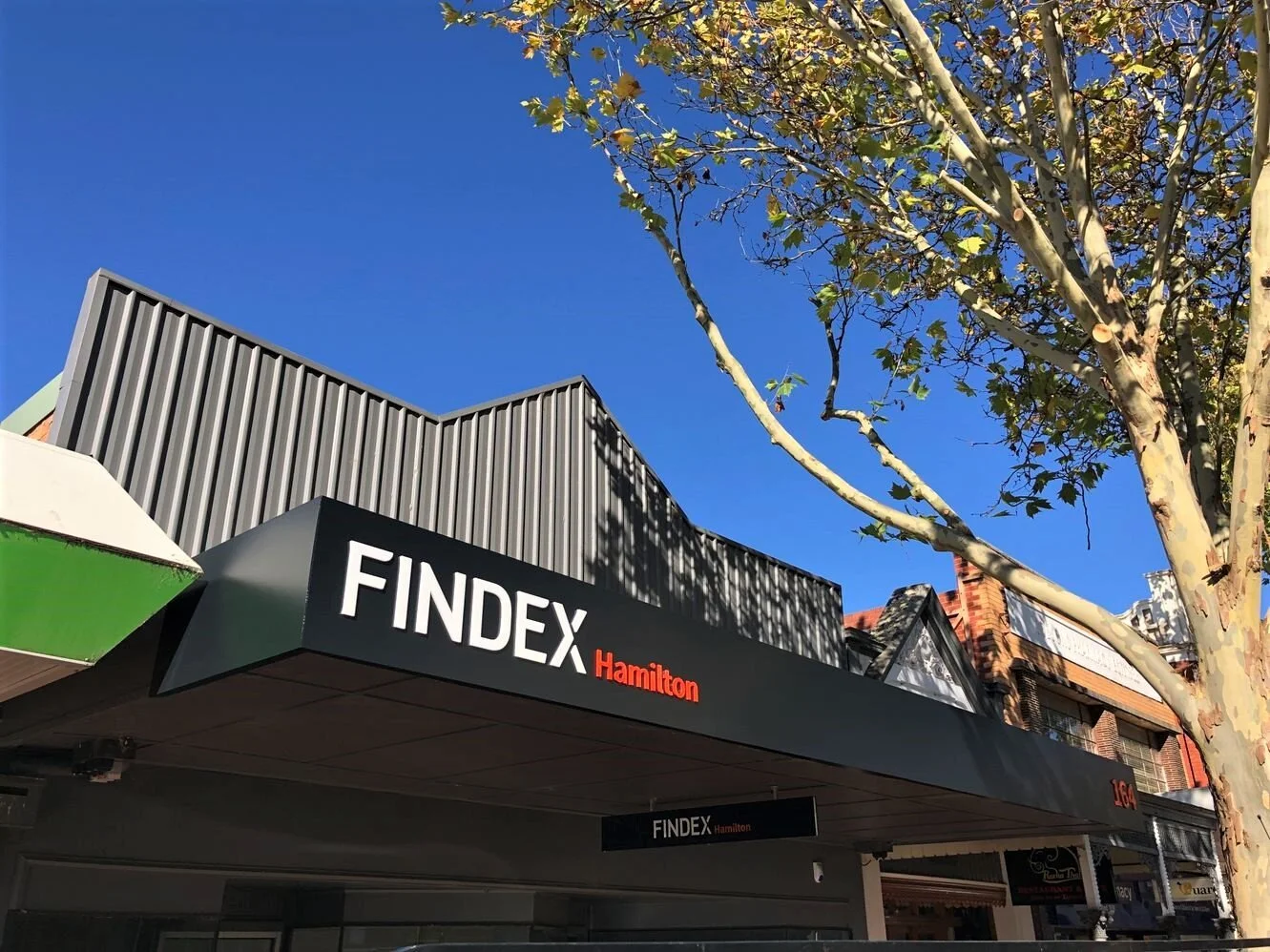 Findex+Hamilton.jpg