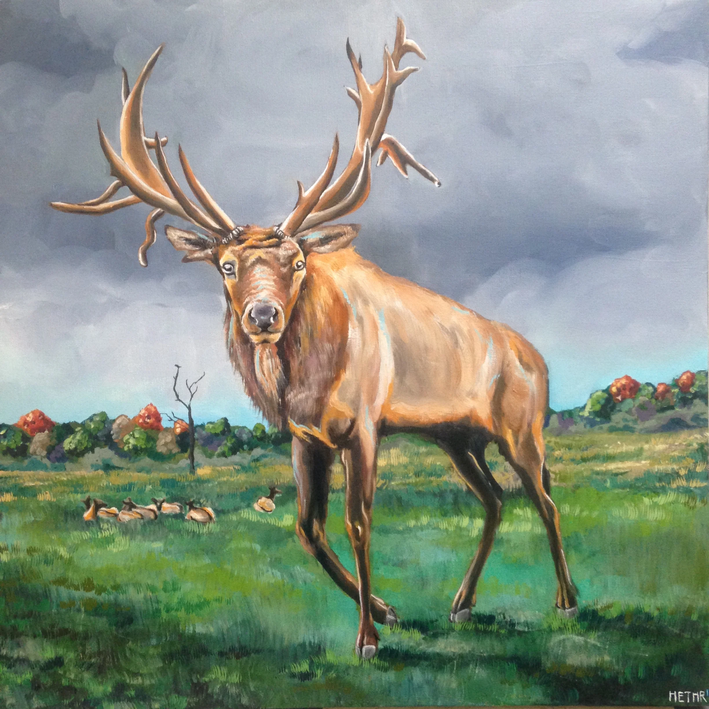 Elk