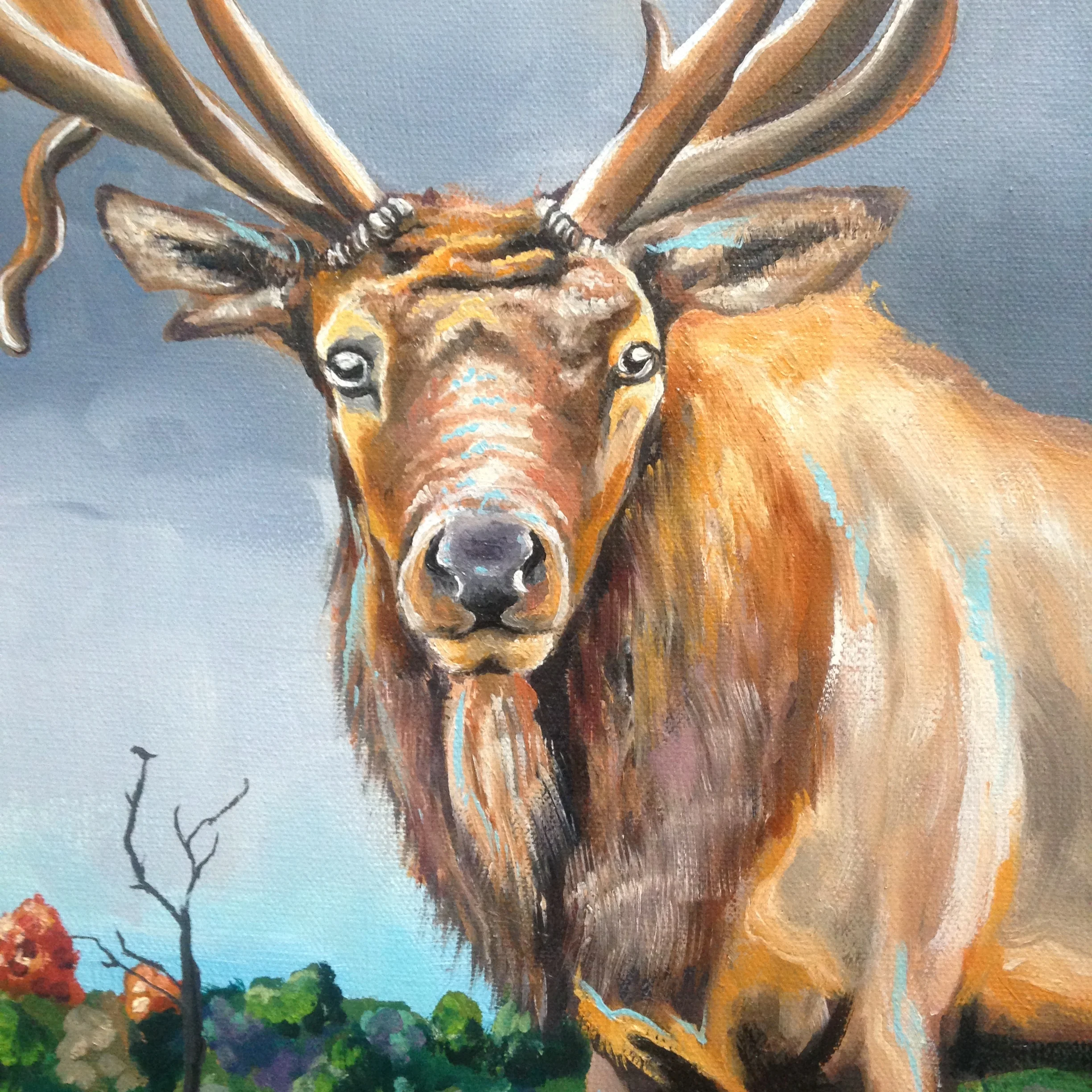 Elk