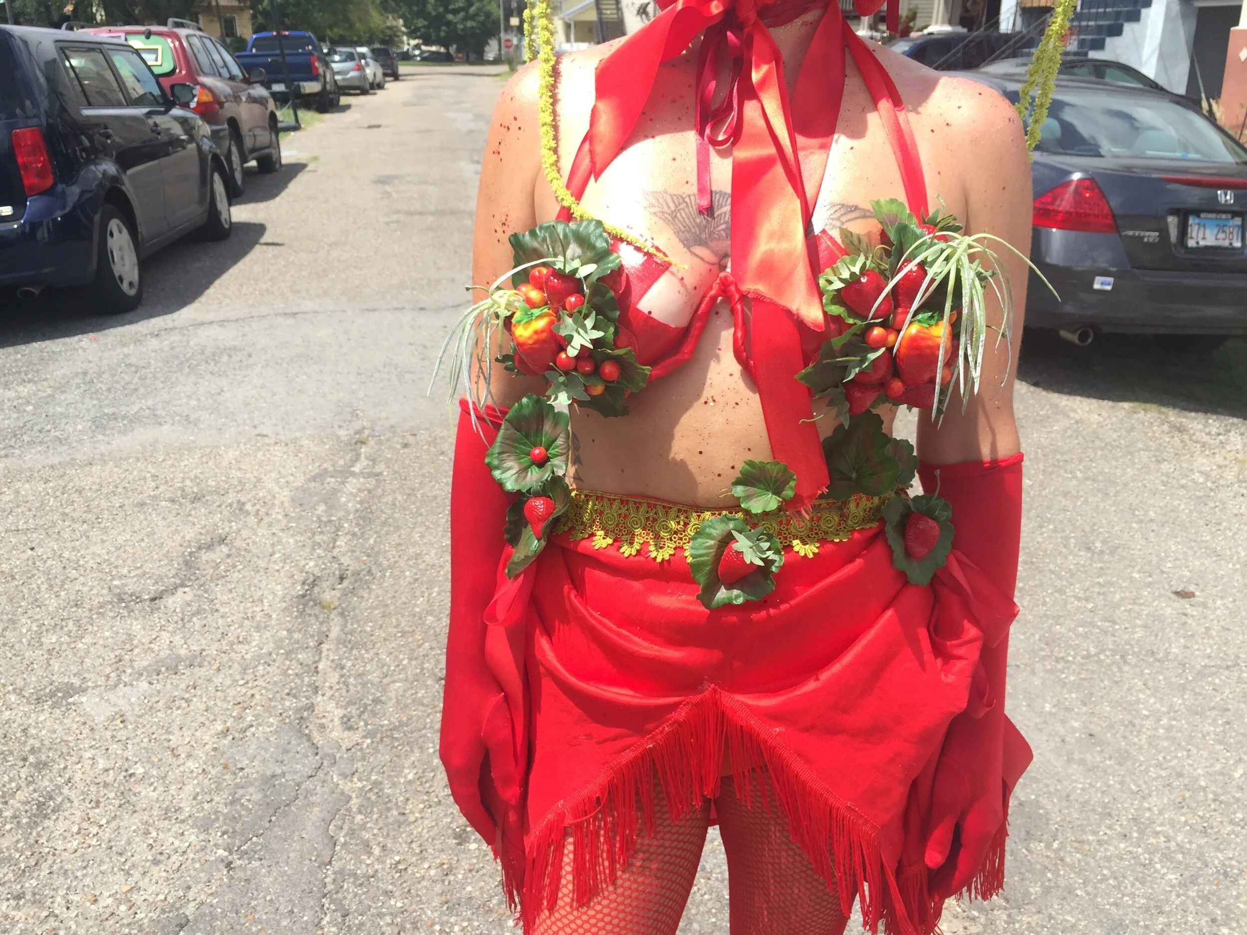 STRAWBERRY COSTUME detail