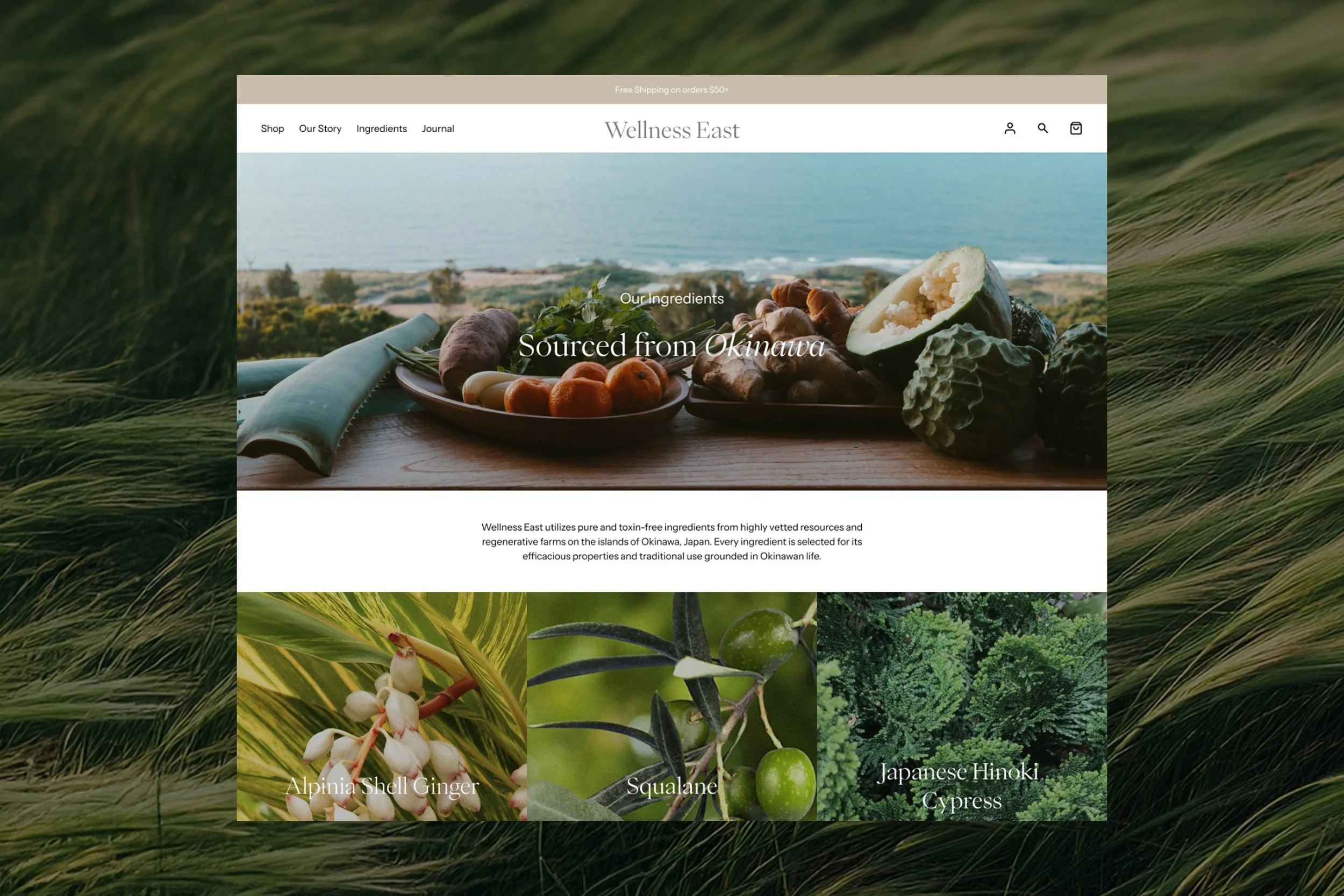 WE_Website_04.jpg