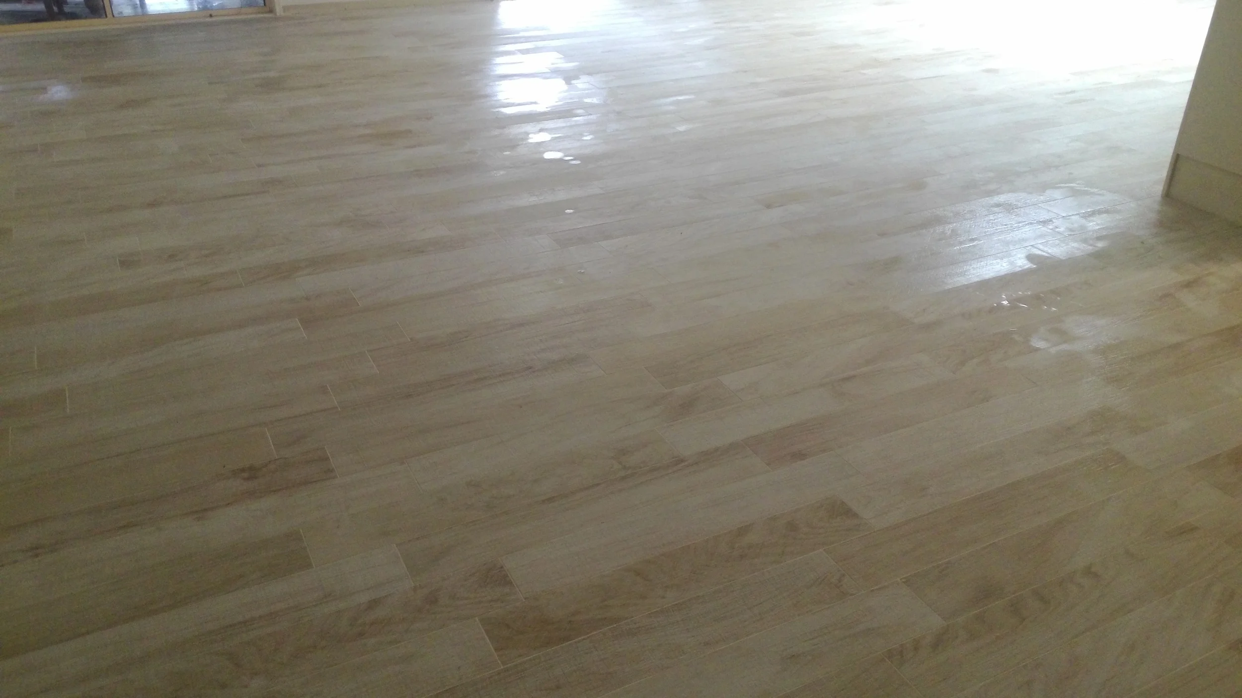 P_20140922_135108.jpg