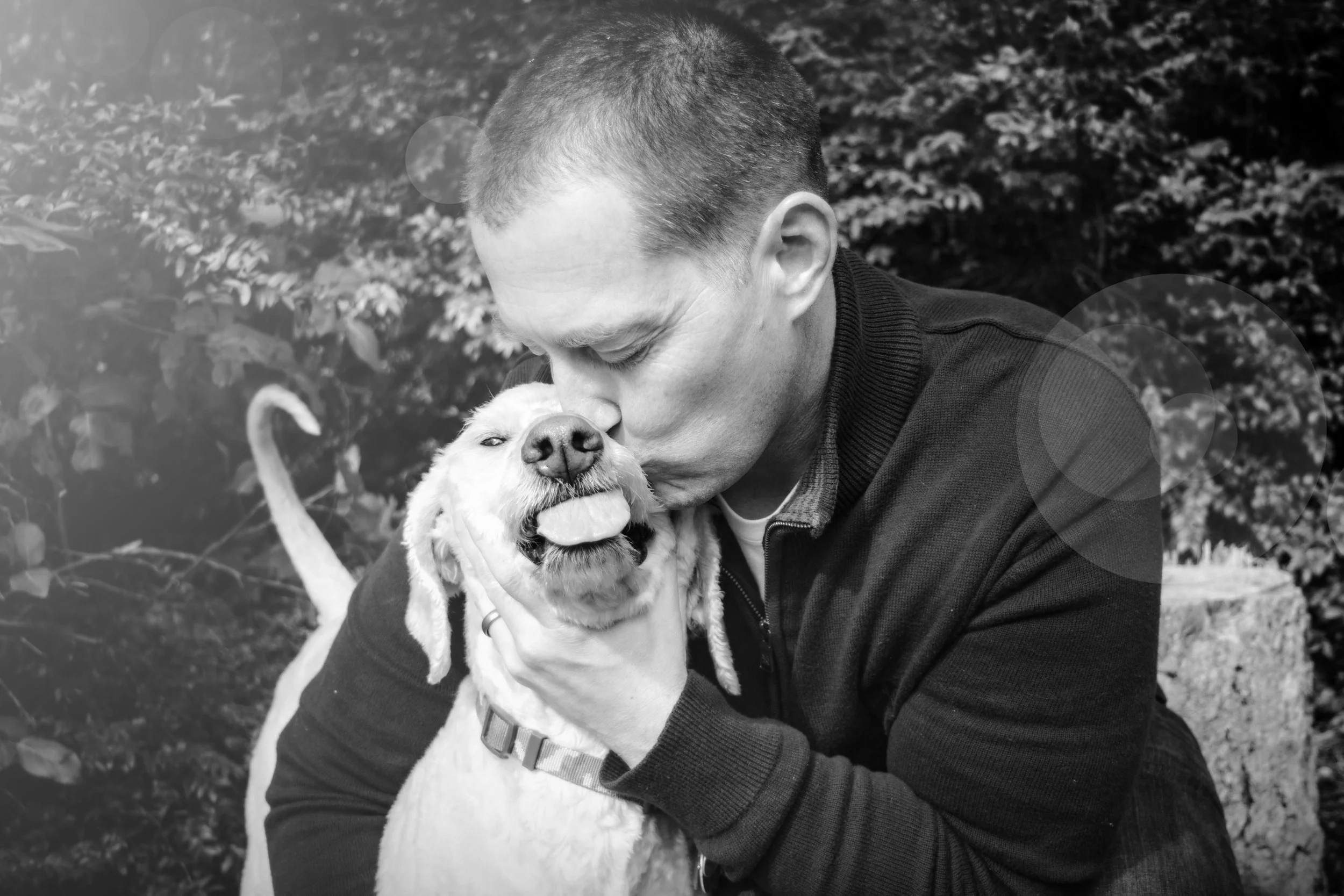 Andy_Dogs-5.jpg