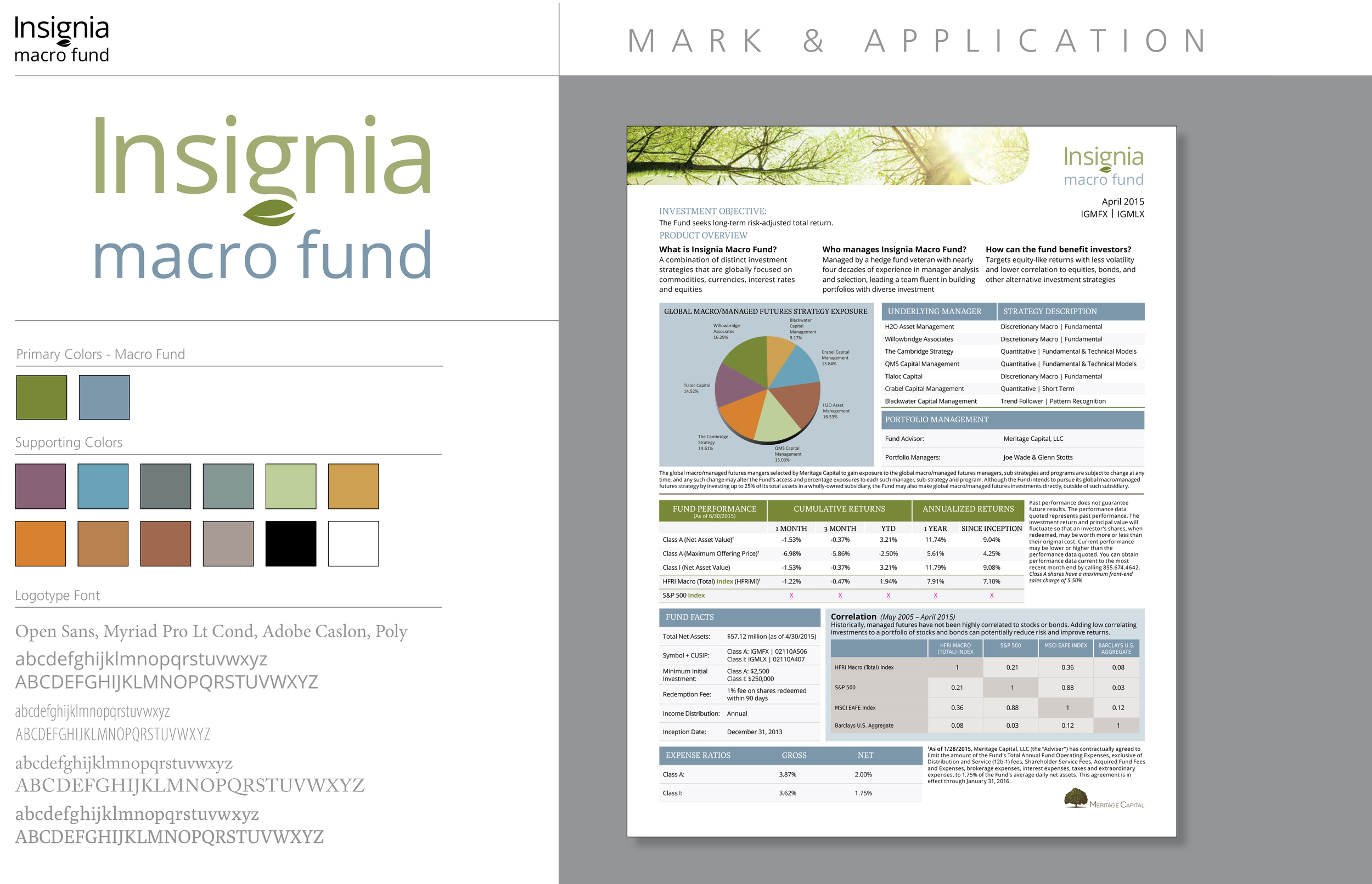 Insignia macro fund