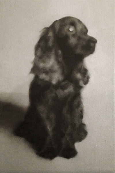  Good Dog    