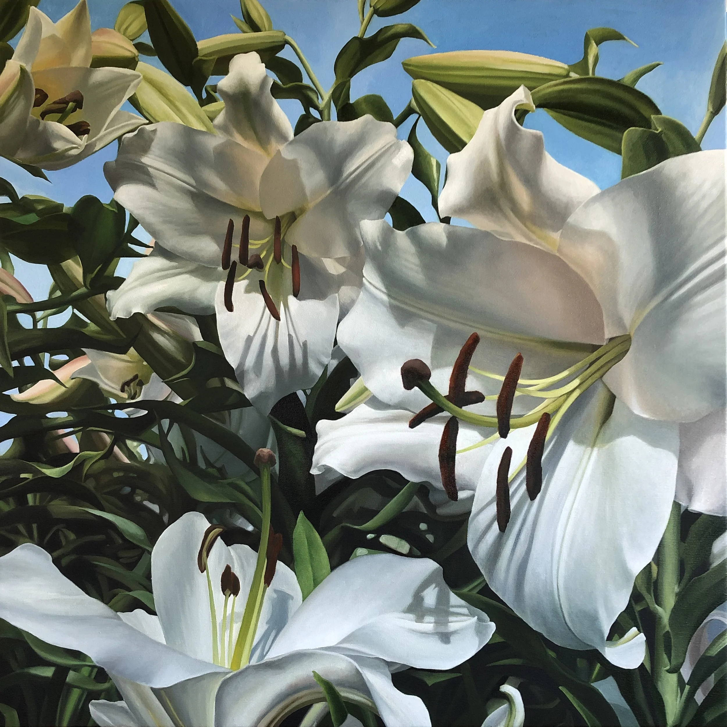 Morning Lilies 2.jpg