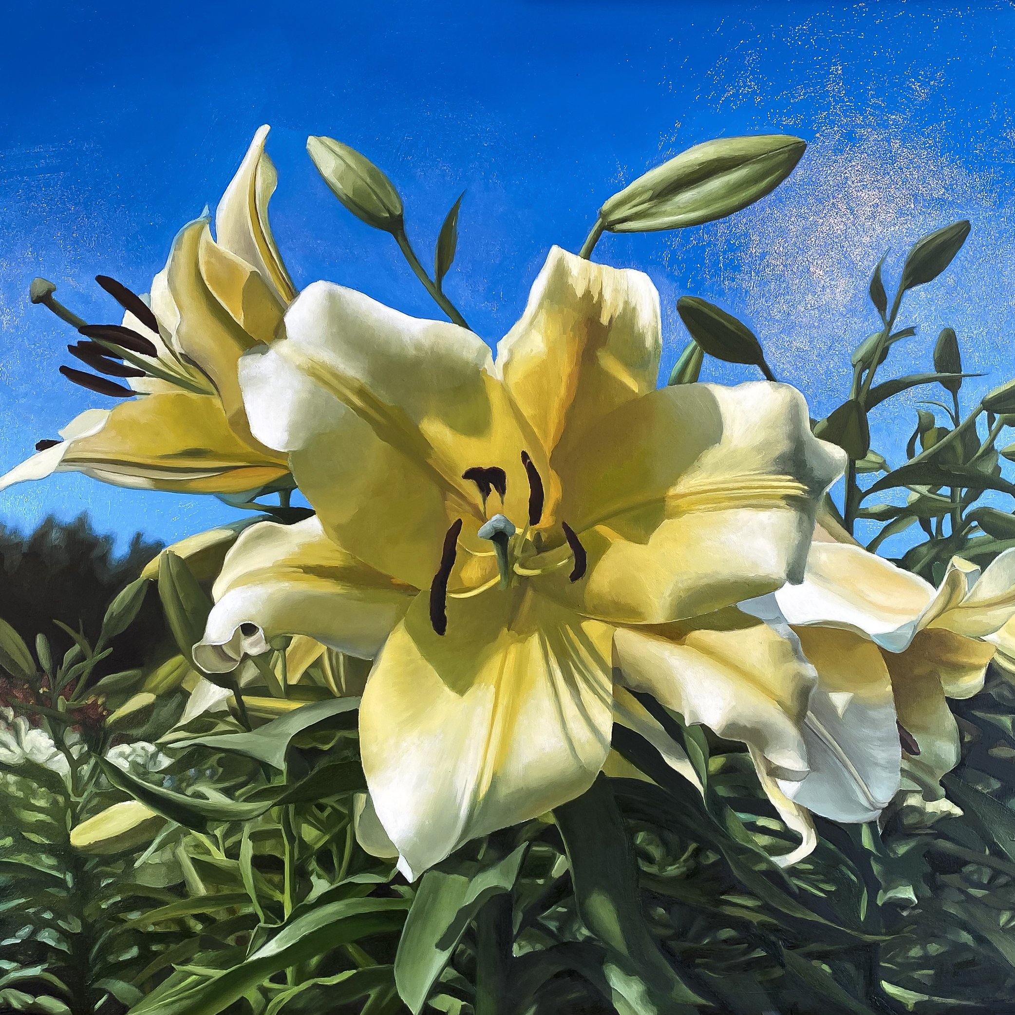 Yellow Lily.jpg