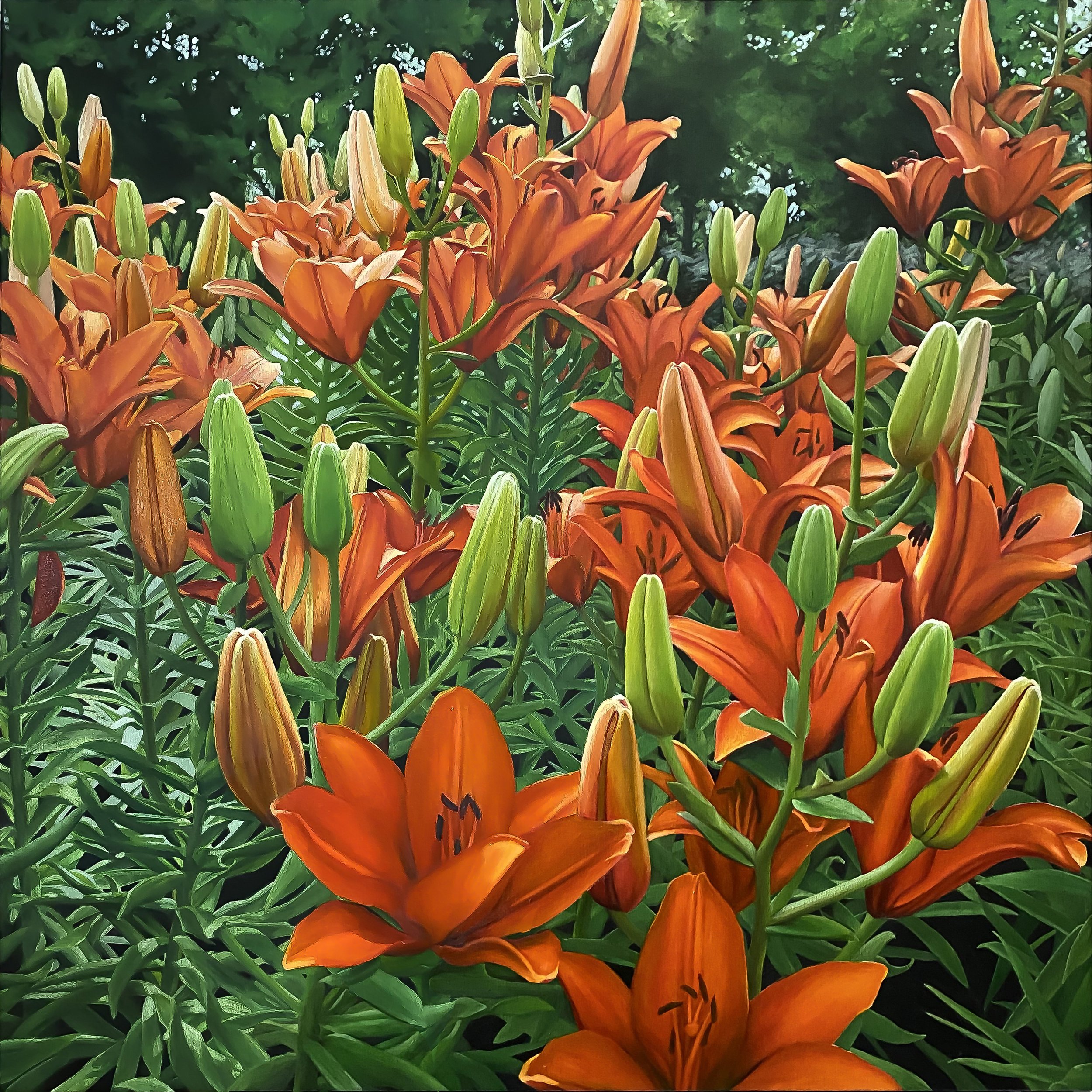 Orange Lilies.jpg