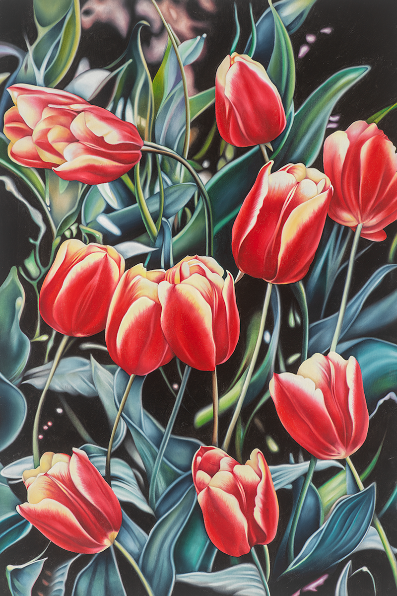 tulips.png