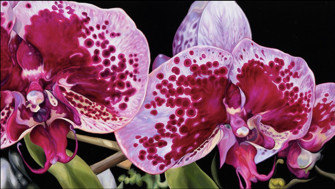 Orchid2.png