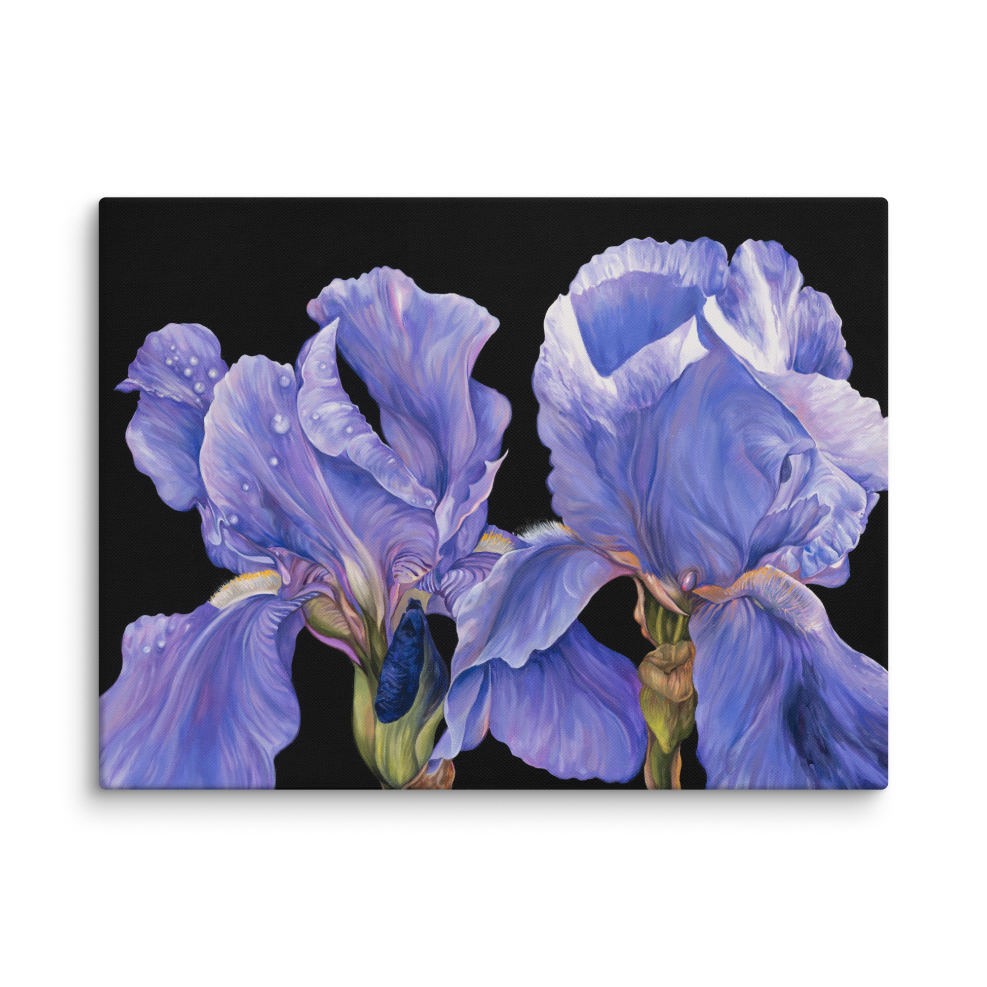 canvas-(in)-18x24-wall-66396e917973a.png