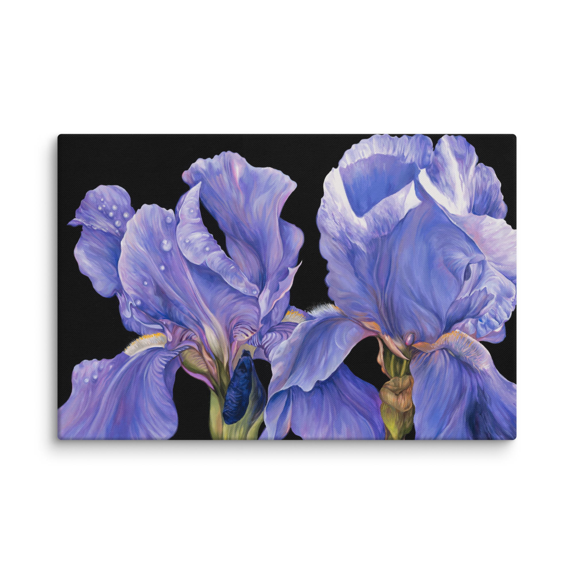 canvas-(in)-24x36-wall-66396e917a9f6.png