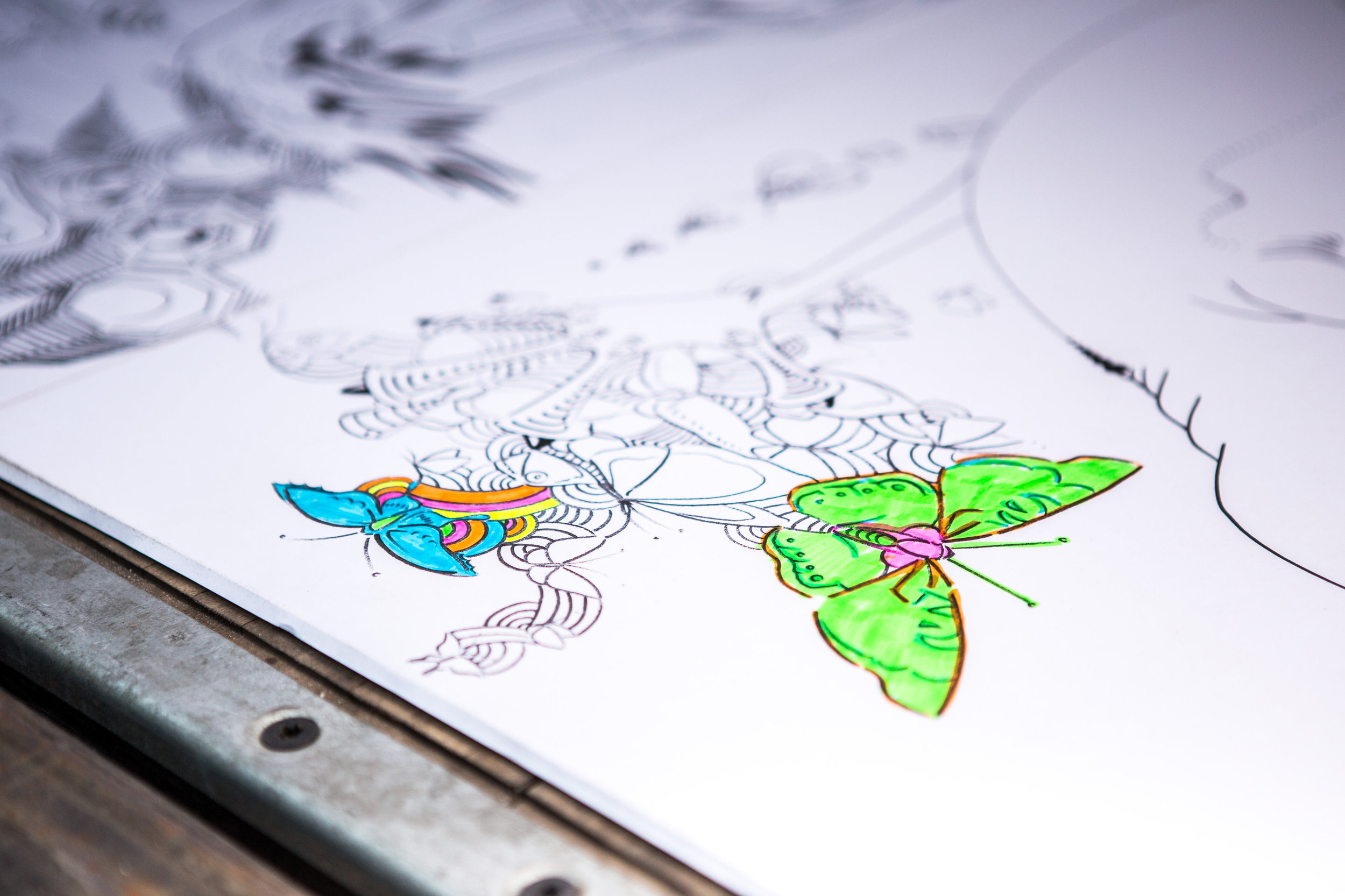 OrlandoCreativeCityProject2015-ColoringBoxbyChristyMcCutchendrawingsartcolorfulneonpantherswanbearanole02.jpg
