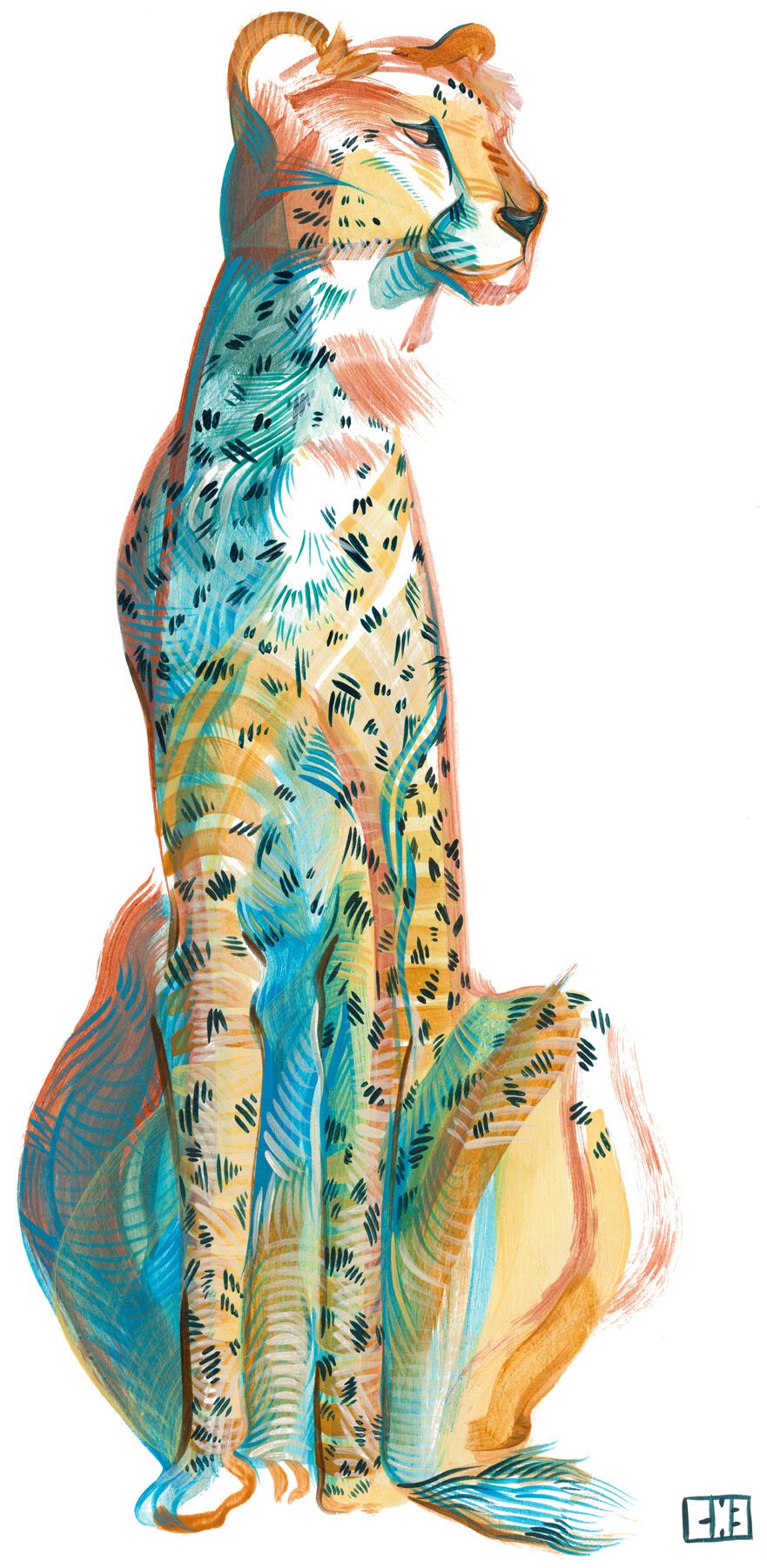 Cheetah
