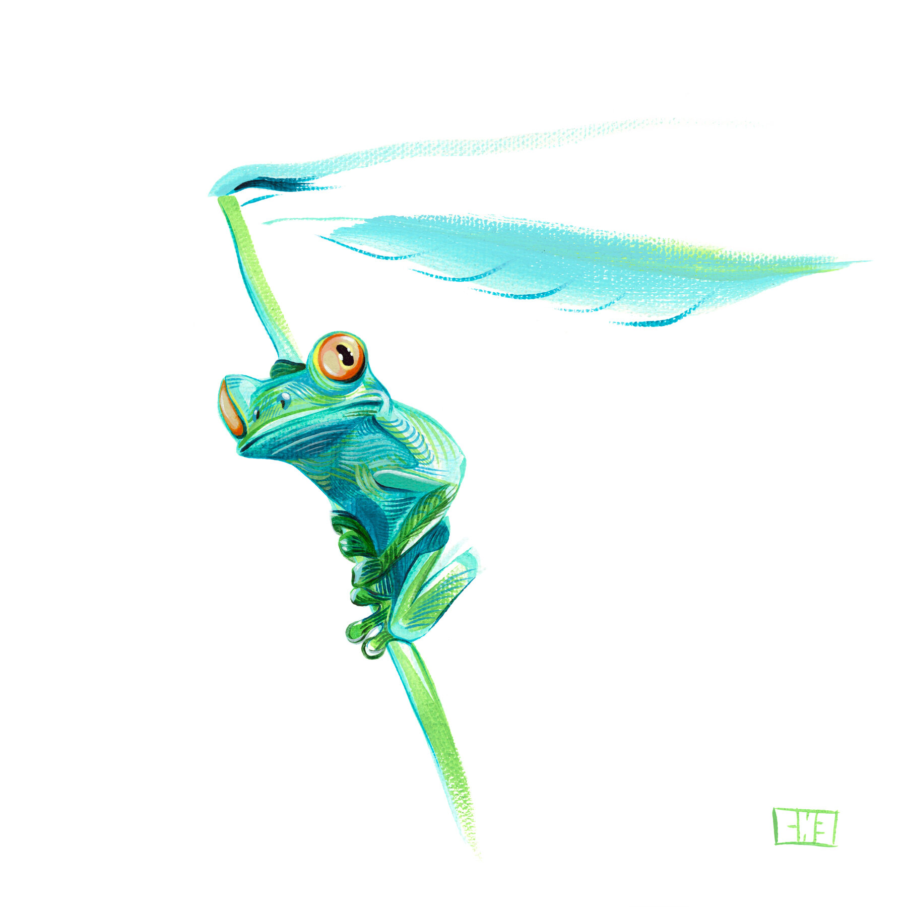 Frog