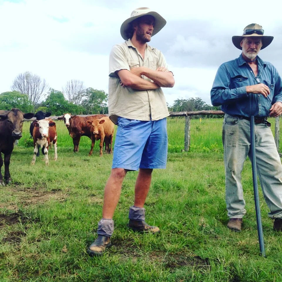 Talking Regeneratively farmed organic beef with farmer Brian - Mullumbimby