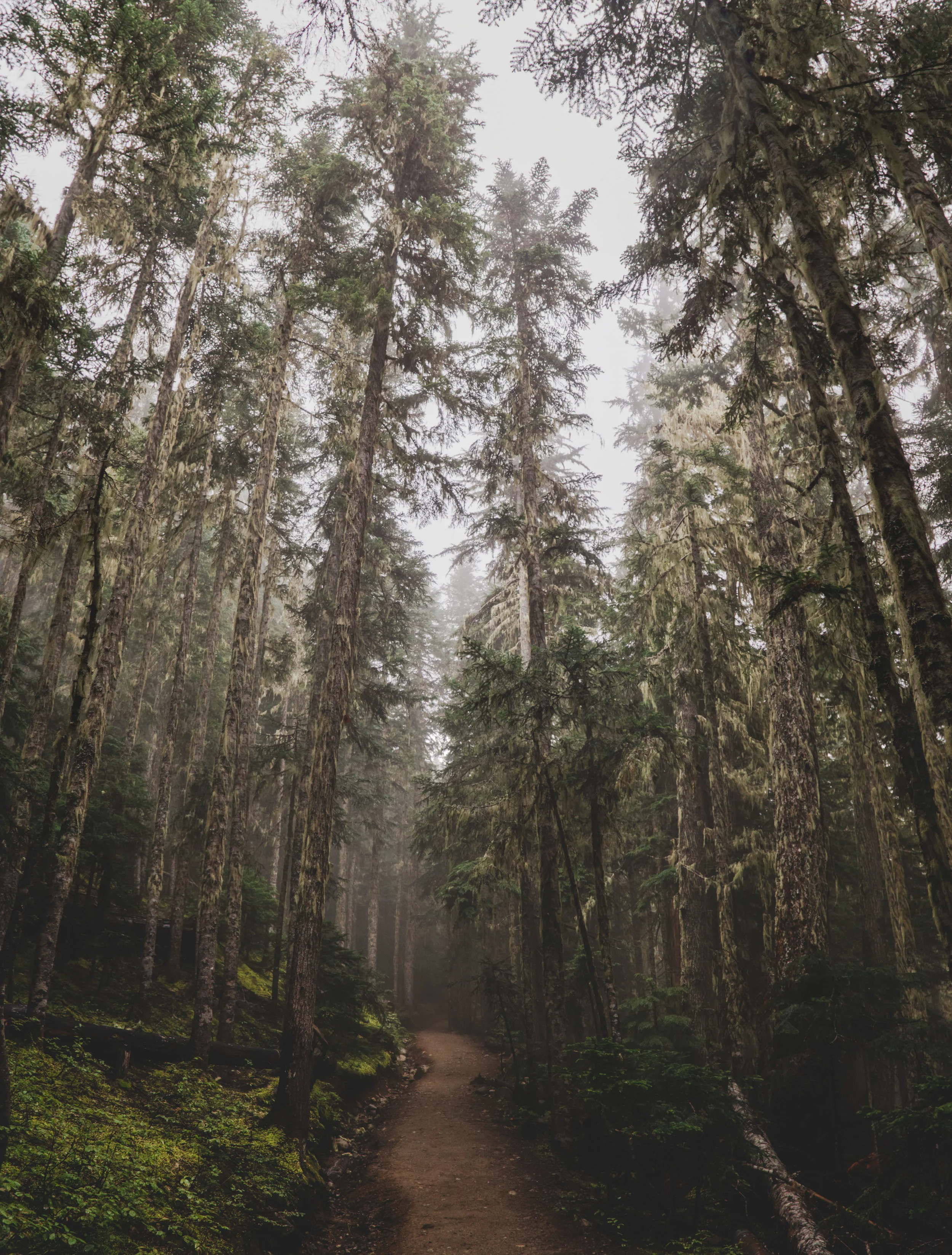 Untitled_Panorama1.jpg