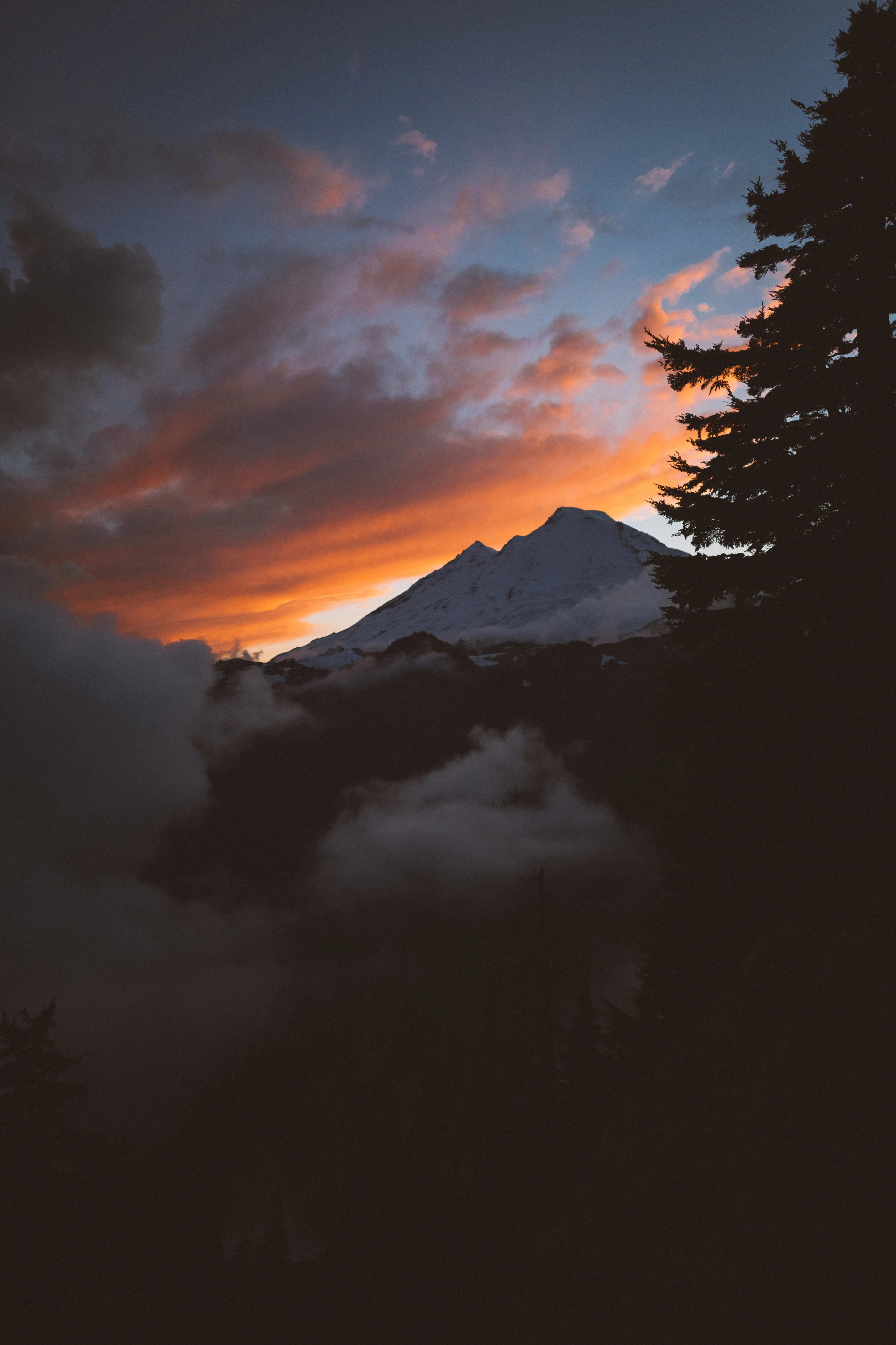 6H3B8343-2.jpg