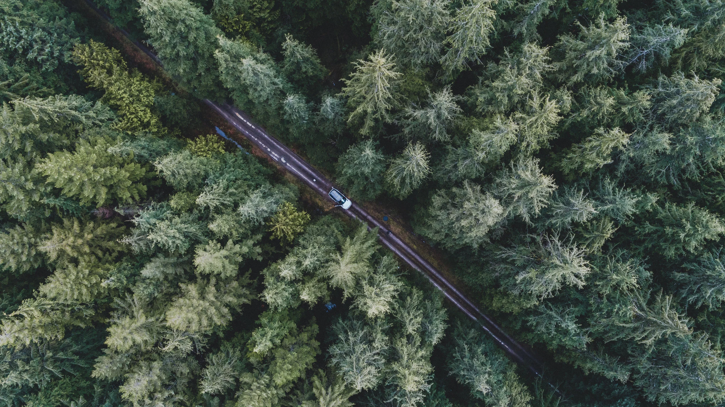 DJI_0025.jpg