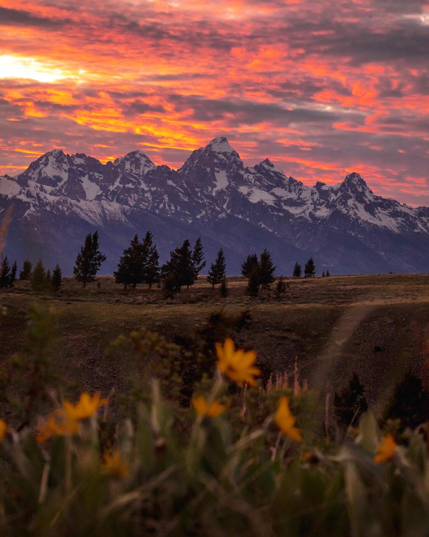 Spring has sprung in the Tetons, it made me so incredibly excited for a summertime outdoors