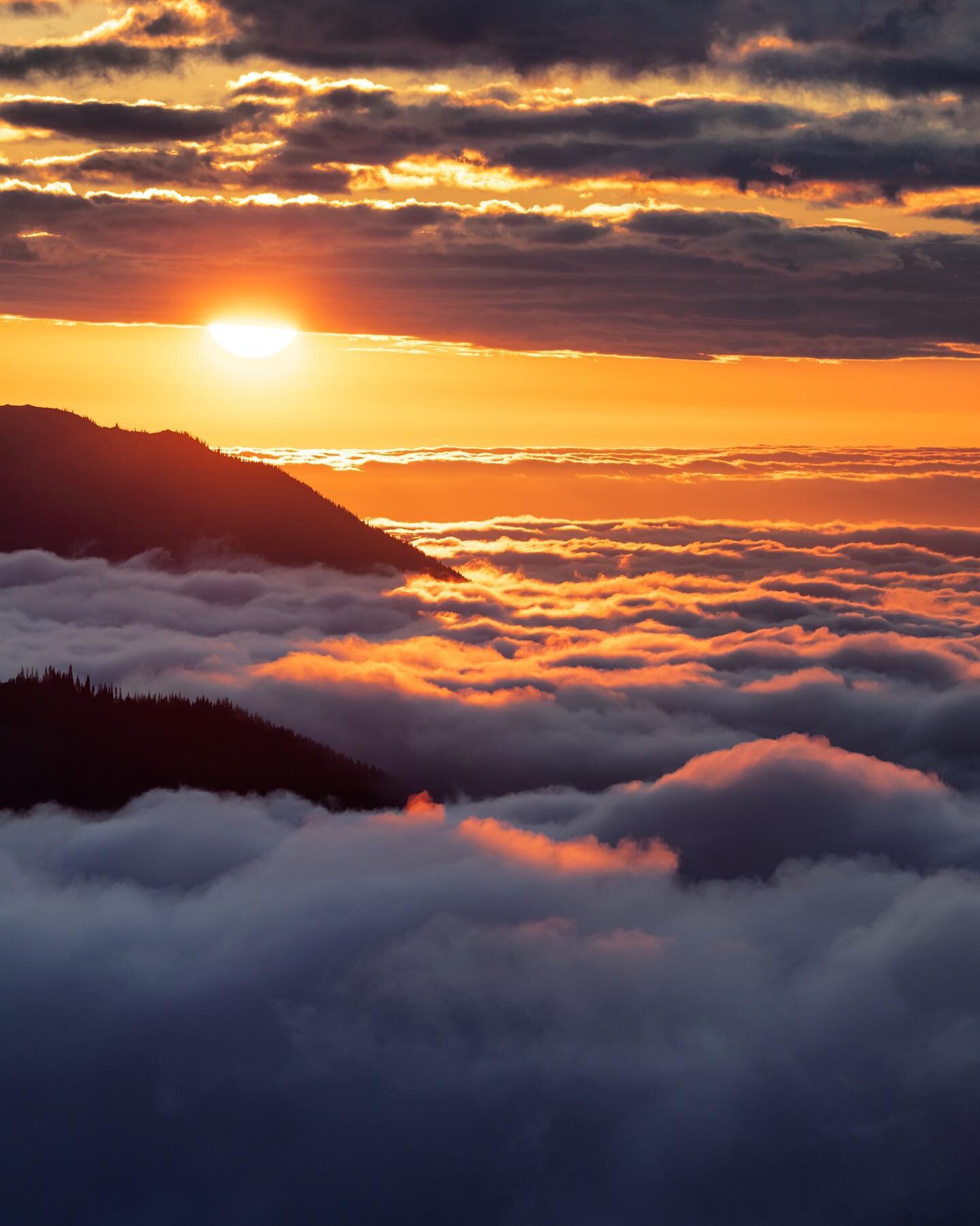 Let&rsquo;s go swimming in a sea of clouds