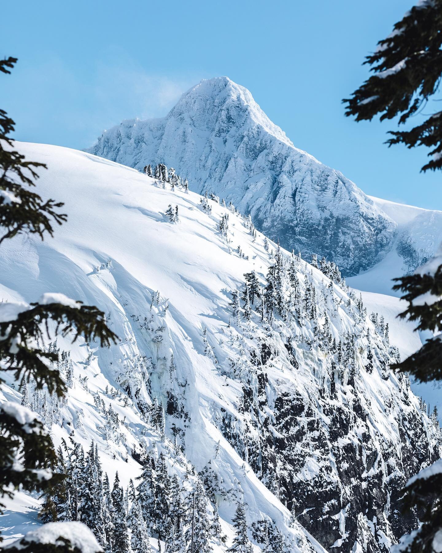 Bluebird days are best spent running around mountains on skis 🎿