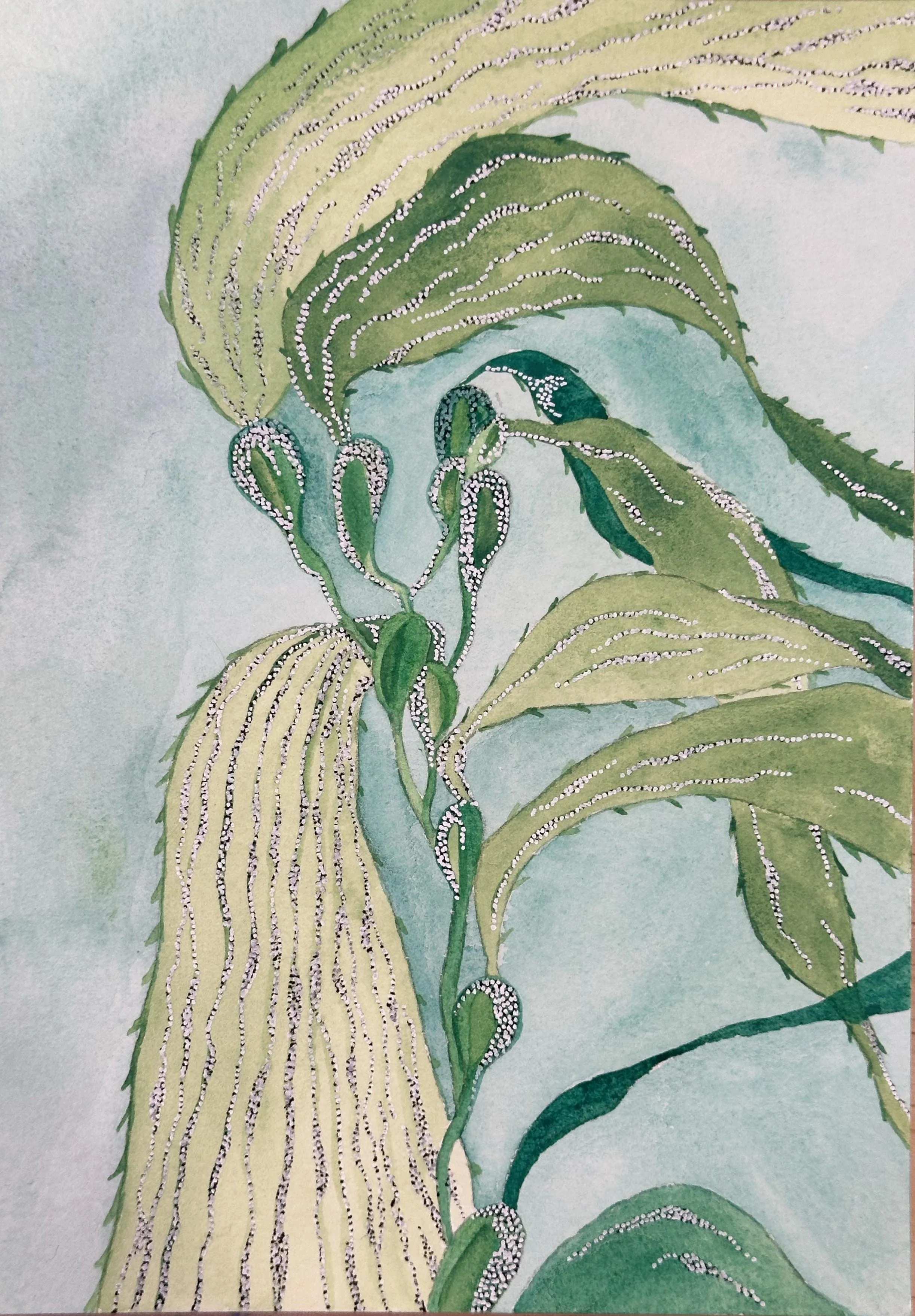 Kelp-02.jpg