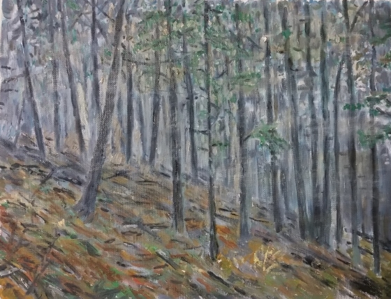 Forest #1, oil on canvas panel, 11" x 14"