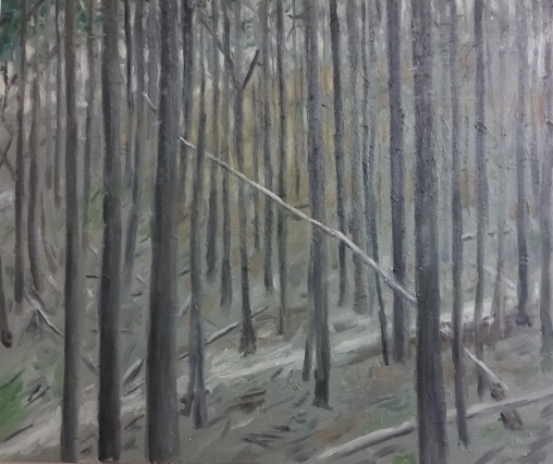 Forest #2, oil on canvas, 20" x 24"
