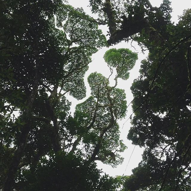 Monteverde, Costa Rica 